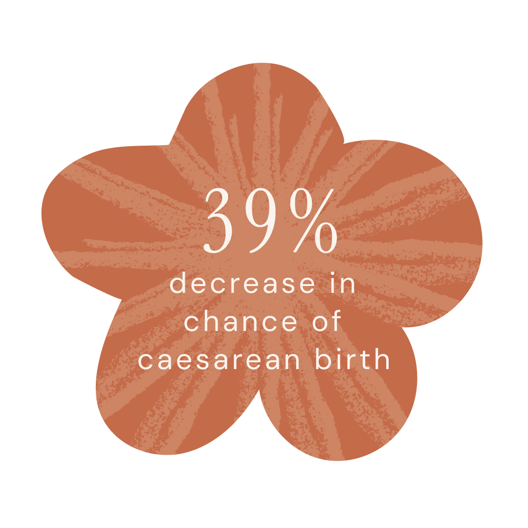 A red flower with text that reads '39% decrease in chance of cesarean birth' for those who birth with doula support.