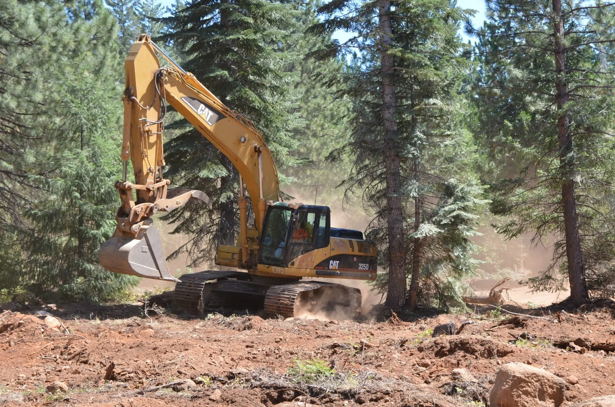 A yellow Caterpillar excavator is working in a forested area, digging into the dirt with tall green pine trees in the background.