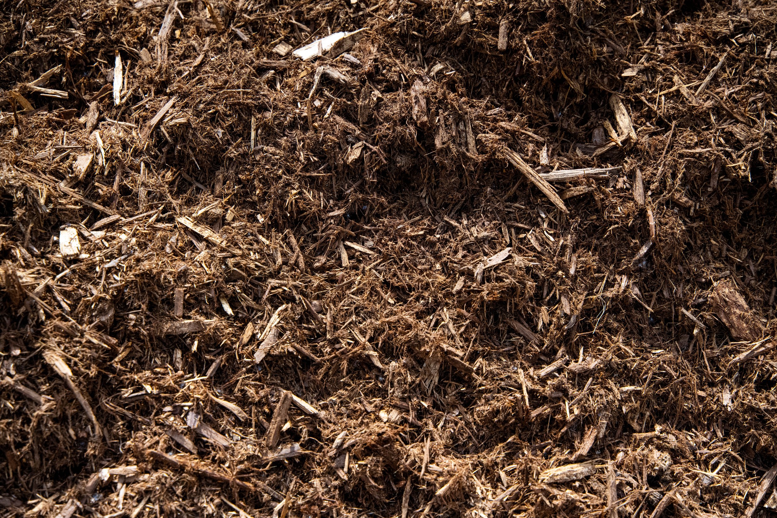 Close-up of a pile of brown wood chips or mulch.