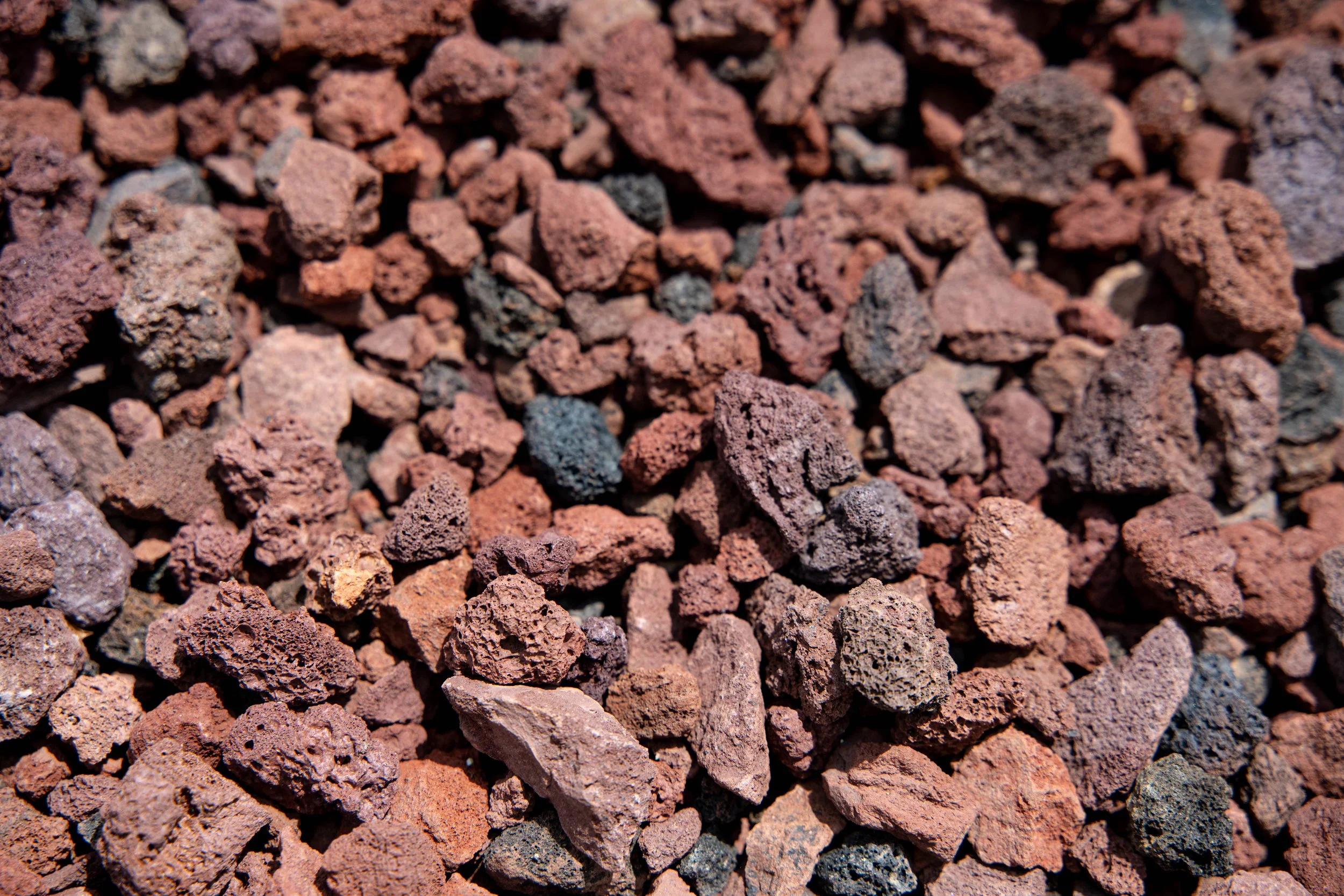Close-up of reddish-brown volcanic rocks with rough textures and porous surfaces.