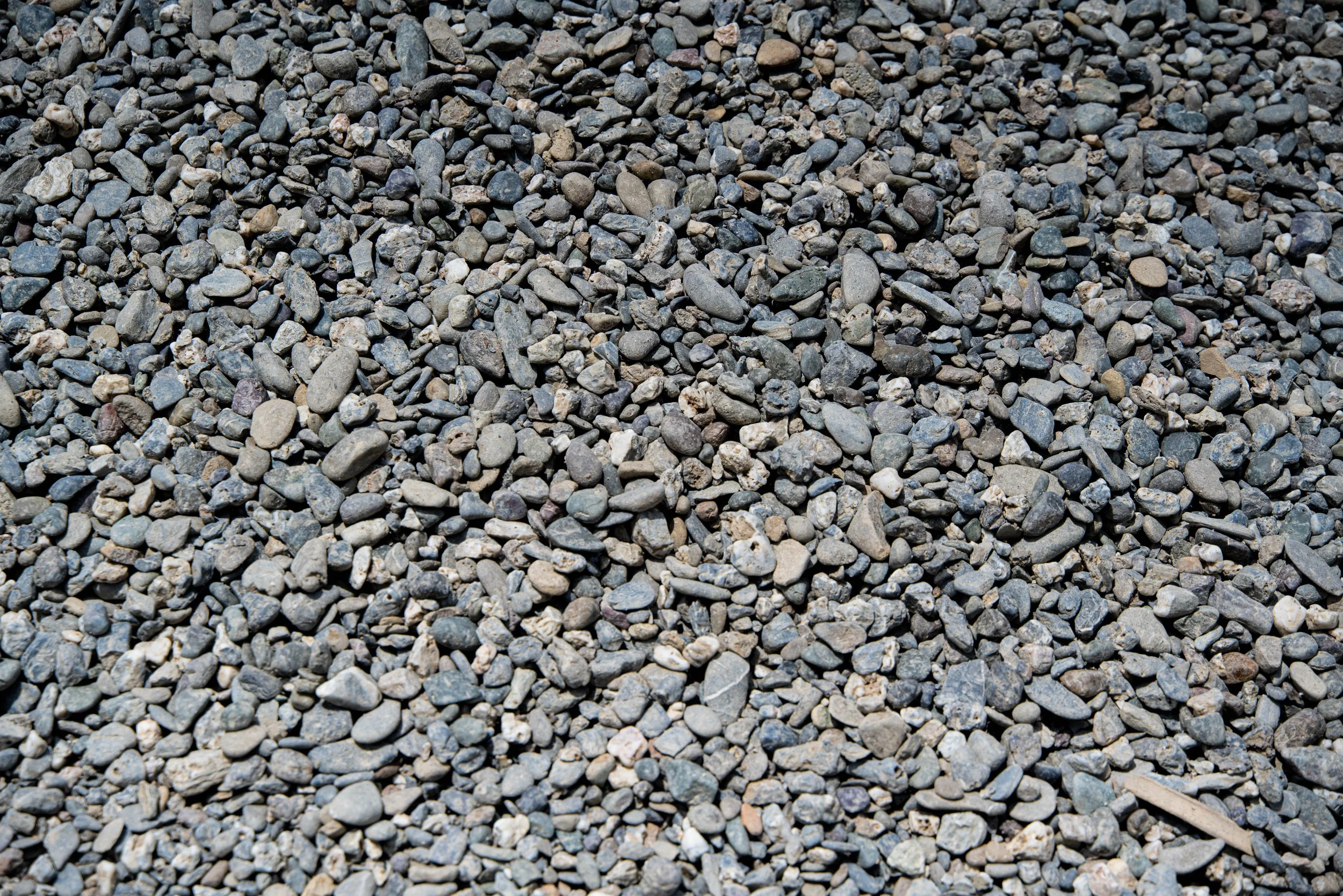 Close-up of small and medium-sized gravel stones of various colors, mainly gray, with some white, tan, and black, scattered evenly across the ground.