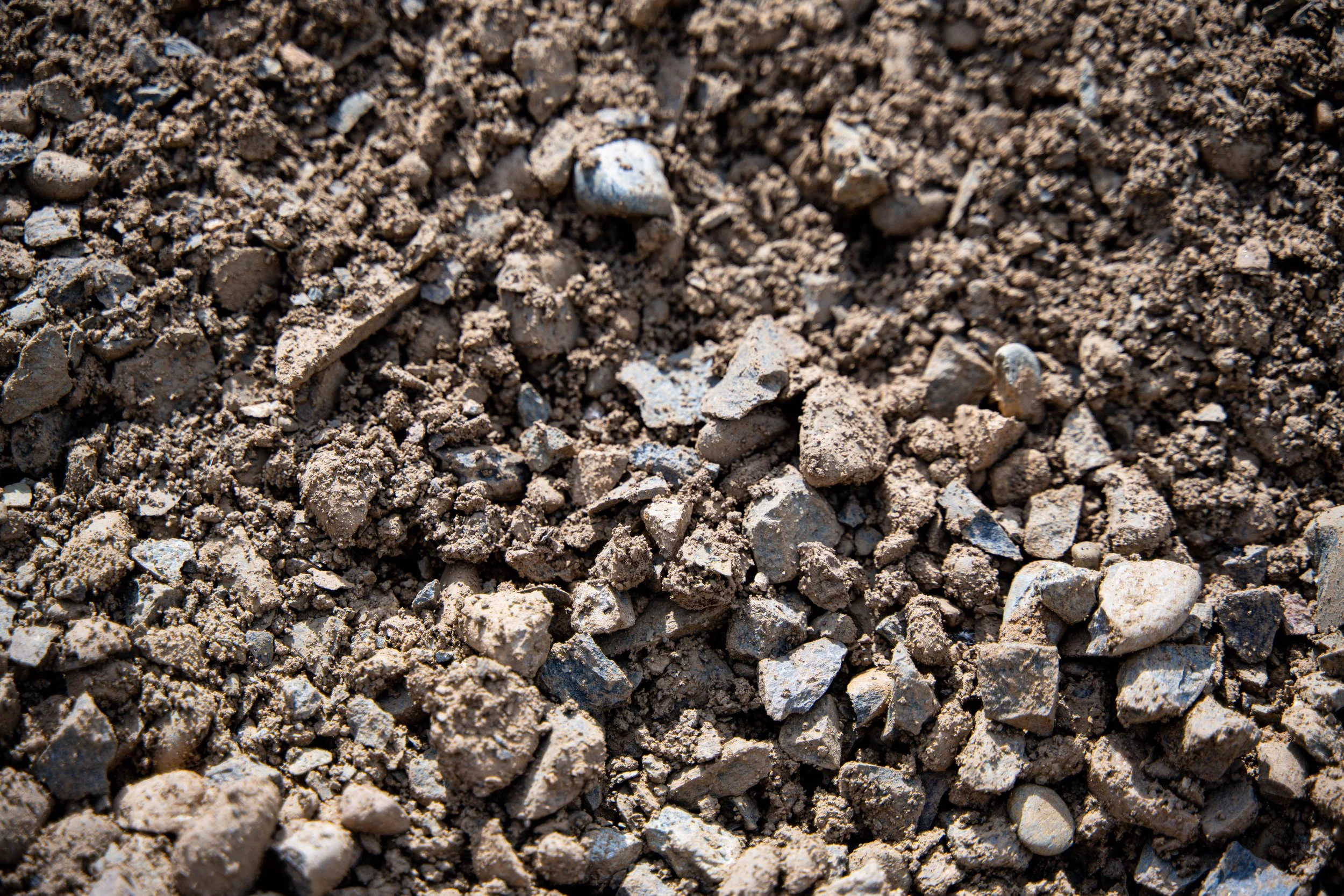Close-up view of dry, unpacked soil with small rocks and dirt particles.