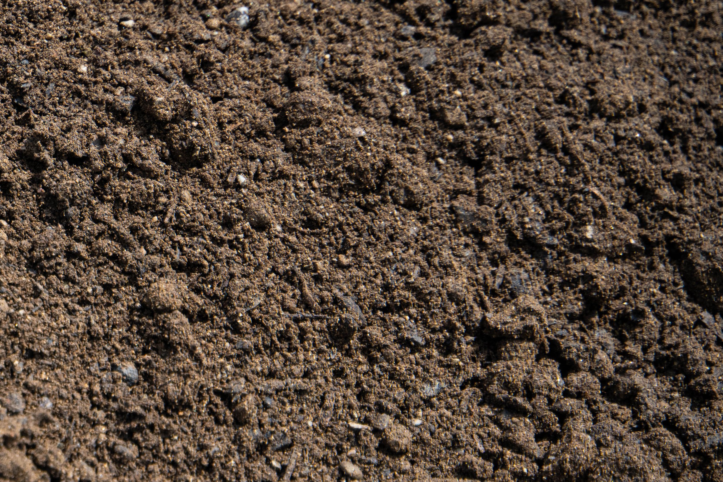 Close-up view of dark brown, textured soil or dirt.