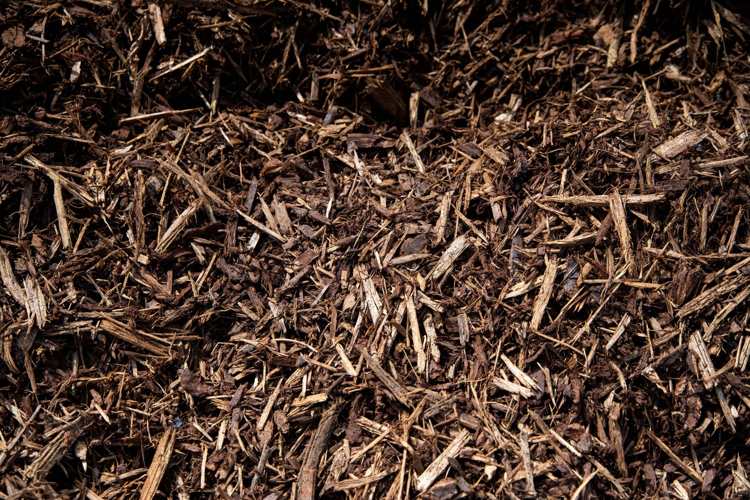 A close-up of a pile of brown mulch made of shredded bark and wood.