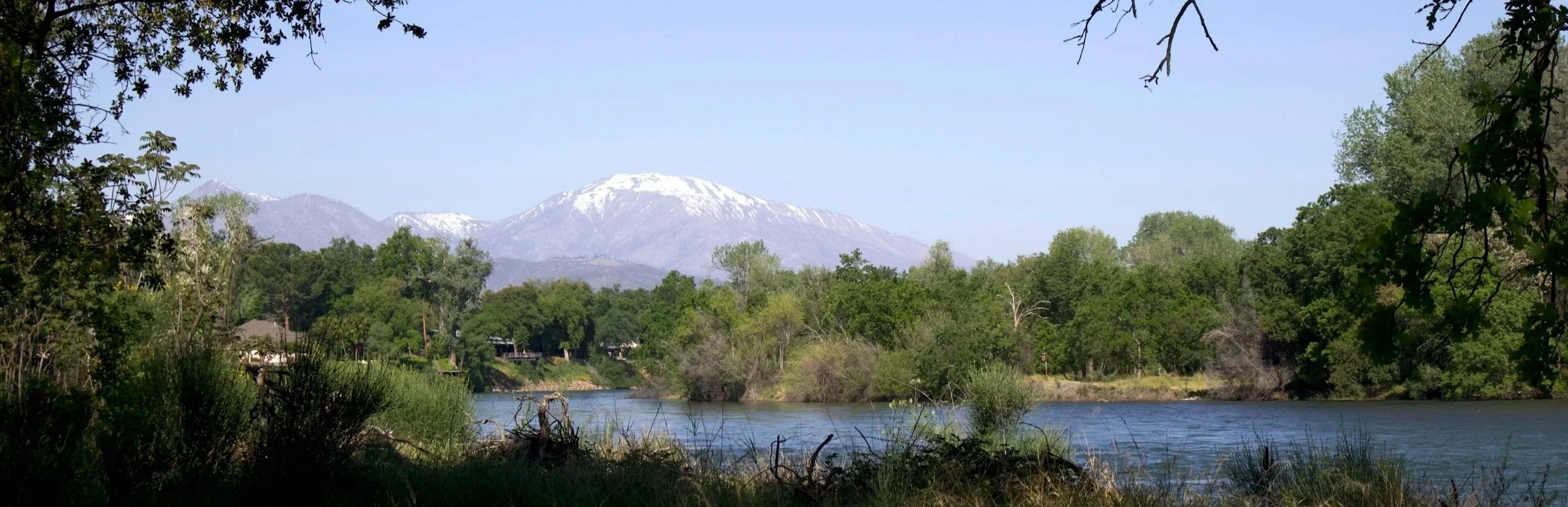 A scenic view of a river surrounded by green trees with snow-capped mountains in the background under a blue sky.