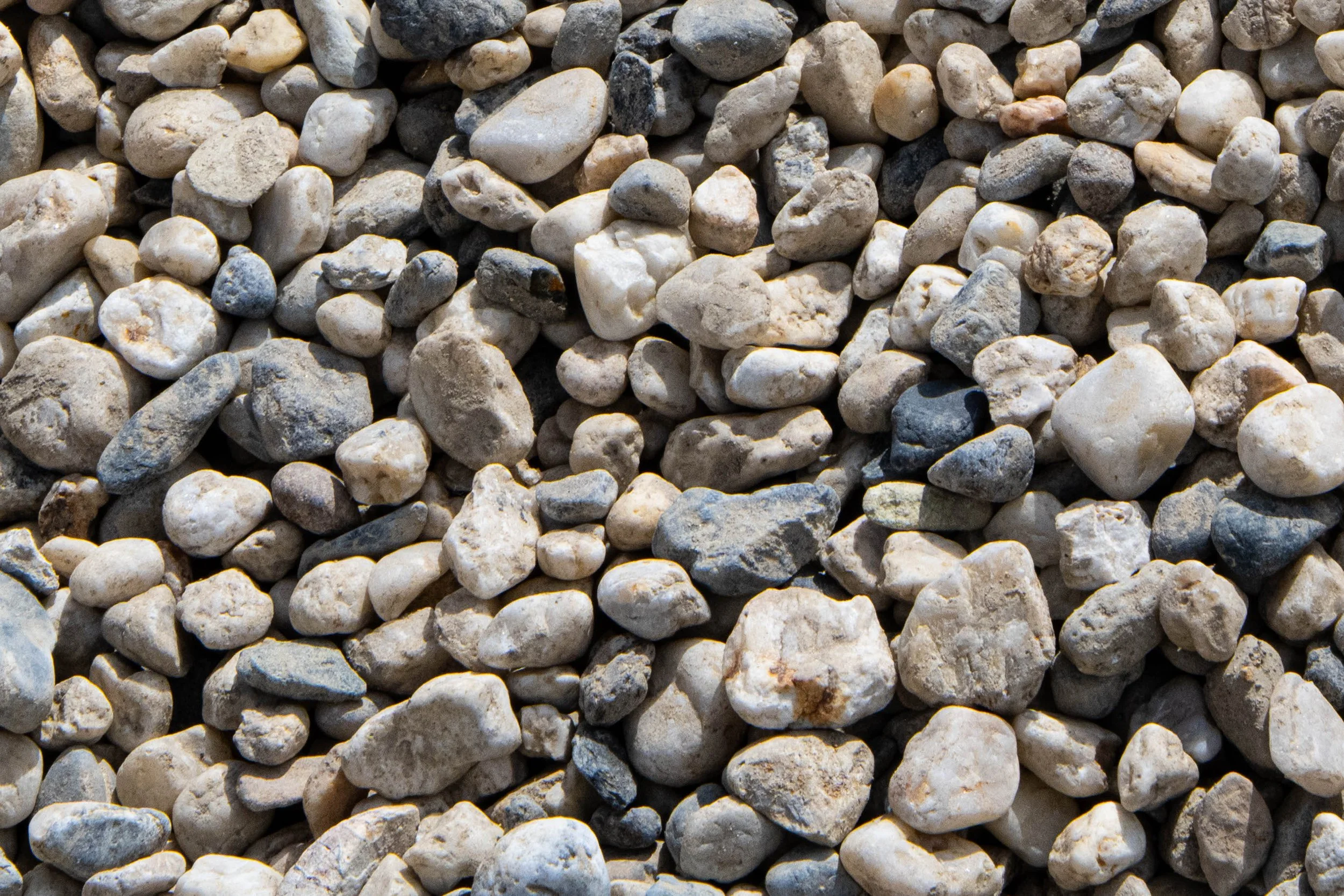 Close-up of small white and gray gravel stones scattered across the ground.
