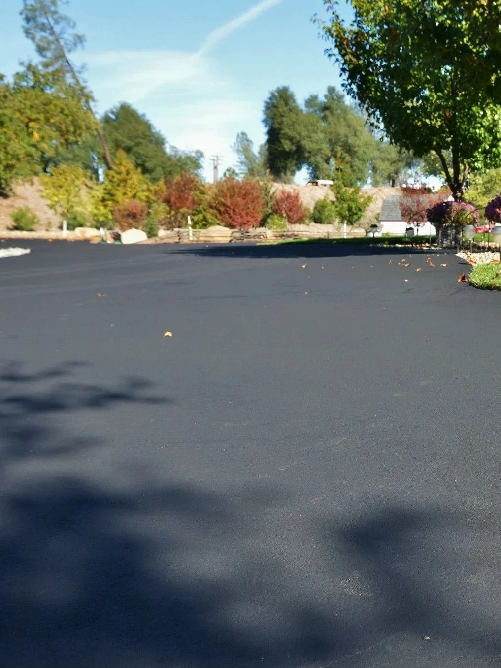 A freshly paved black asphalt driveway in a residential area, bordered by trees and shrubs with colorful autumn foliage, under a clear blue sky.