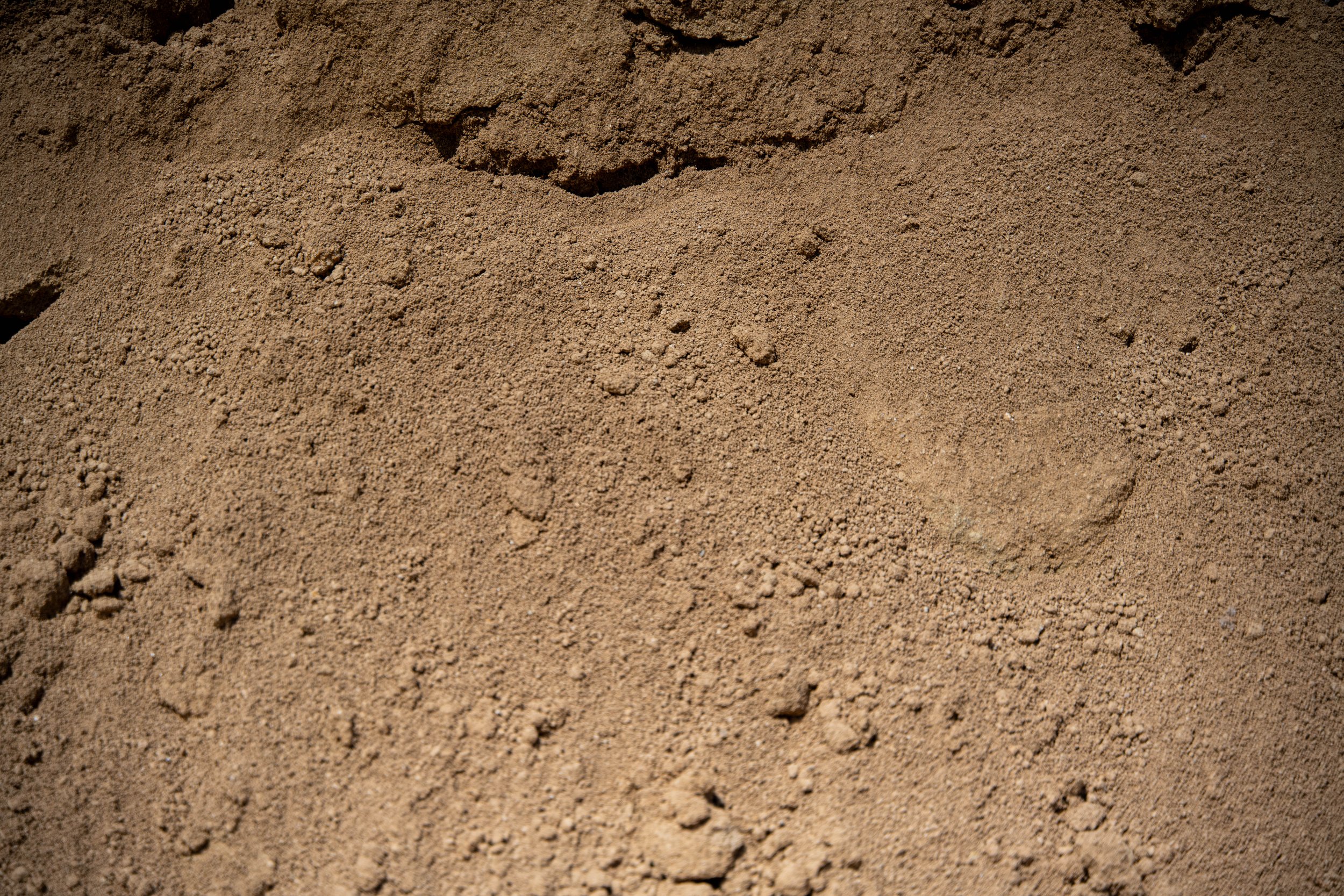 Close-up view of a sandy, earthy surface with small uneven patches and footprints.
