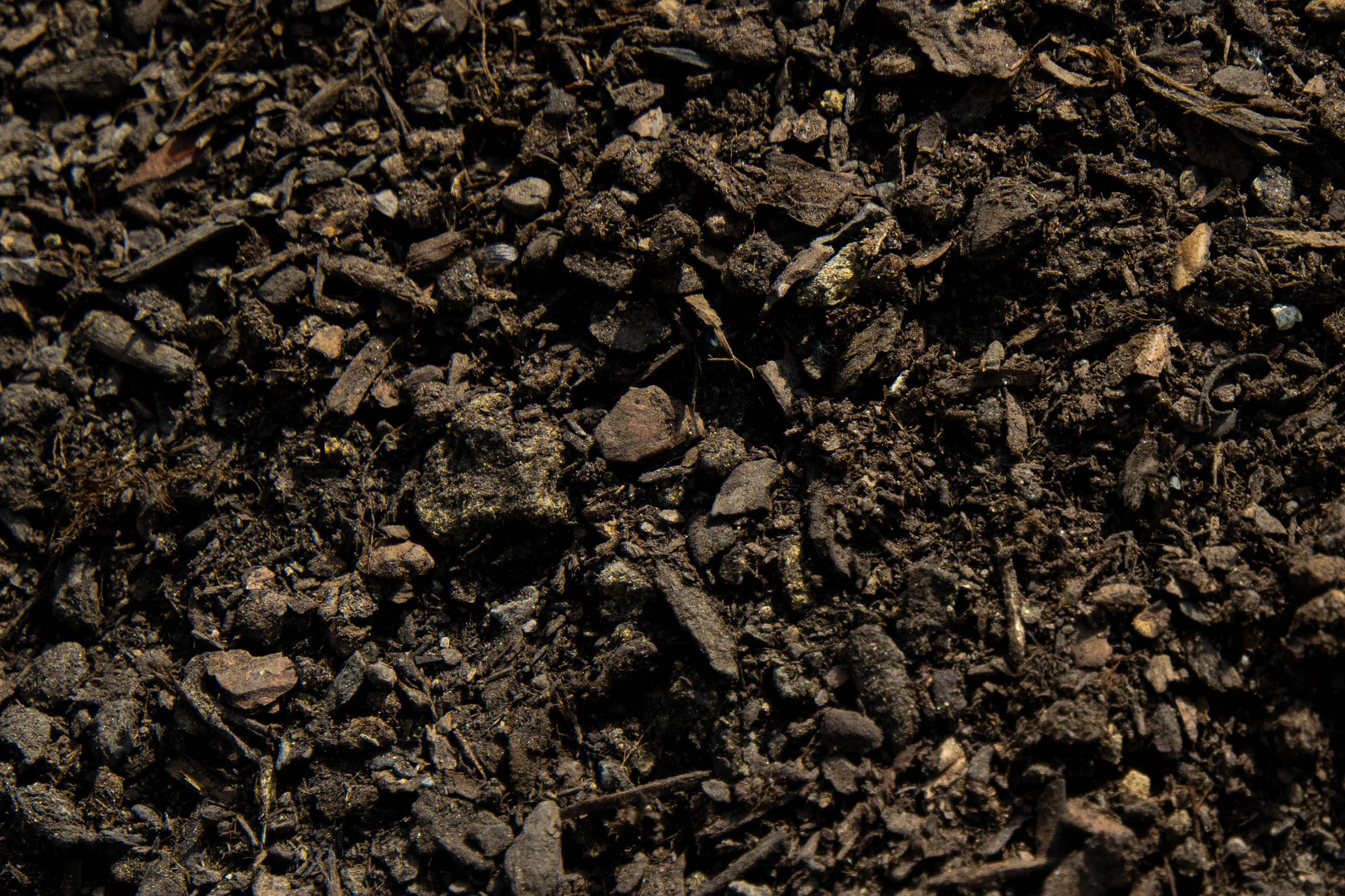 Close-up of dark brown soil with small rocks and organic material.