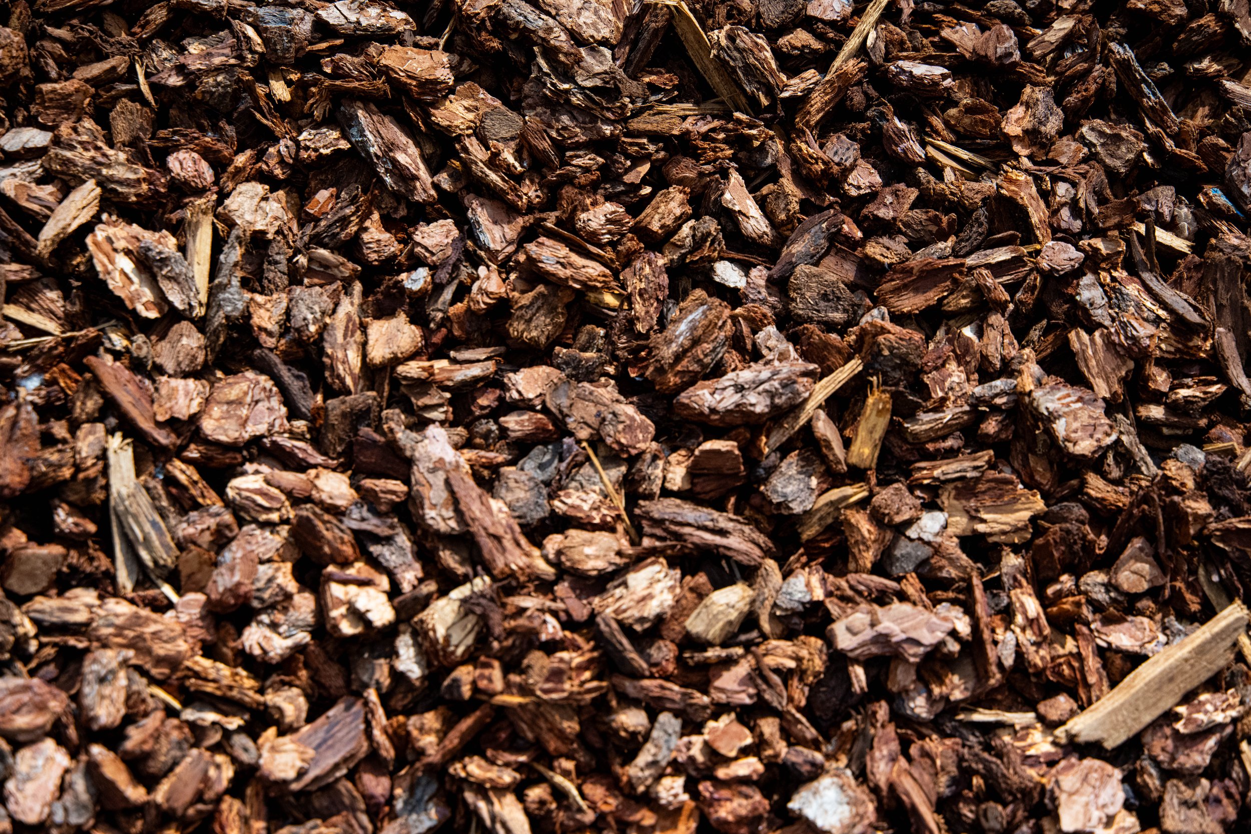 Close-up of a large pile of broken bark mulch wood chips.