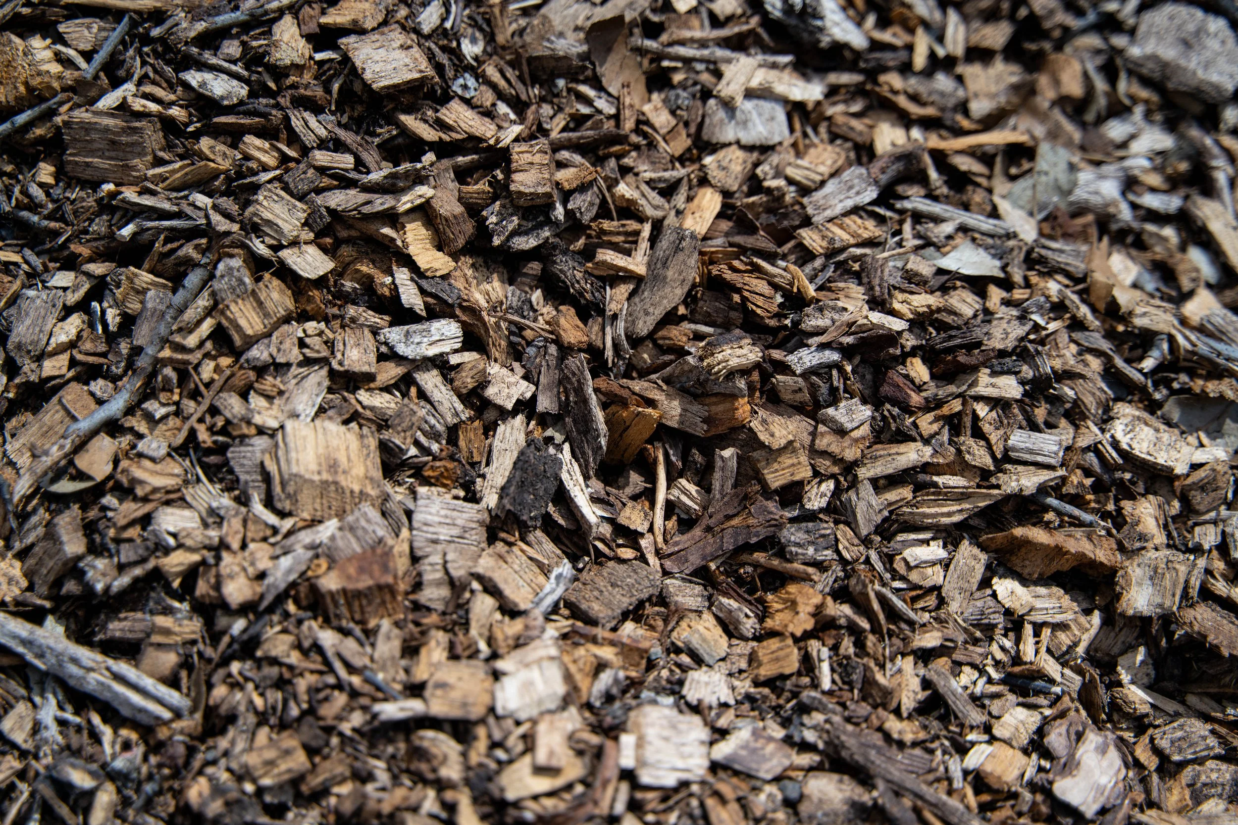 Close-up of a pile of small, irregularly shaped pieces of wood or bark.