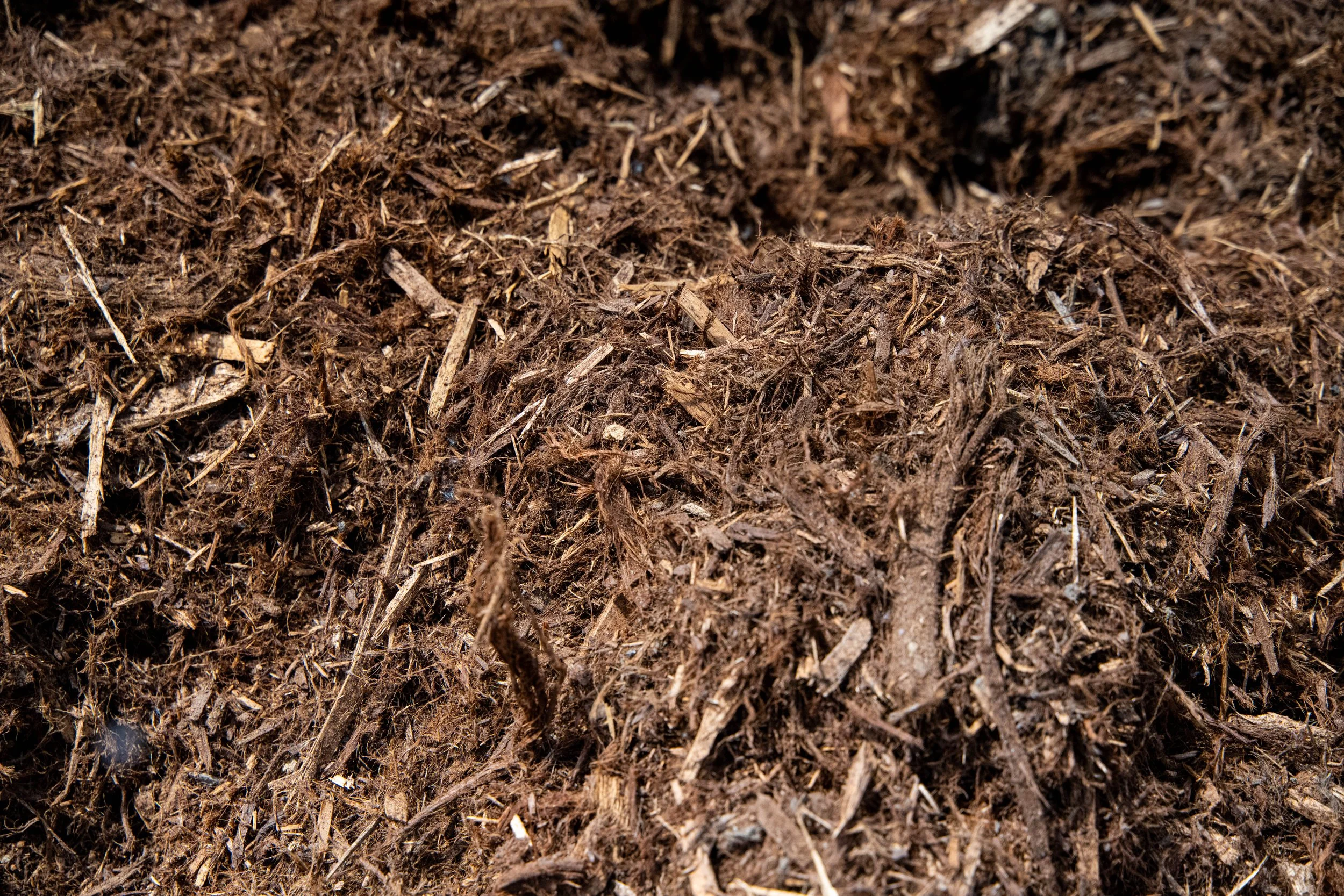 Close-up of brown shredded wood mulch or compost.
