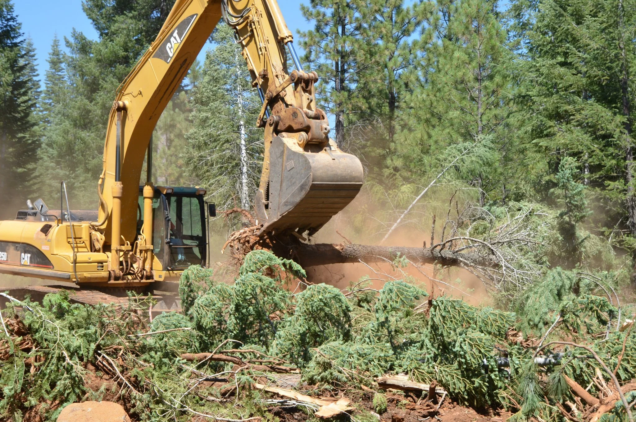 A large yellow Caterpillar excavator with a bucket attachment is lifting a fallen tree trunk in a forested area, surrounded by green trees and branches.