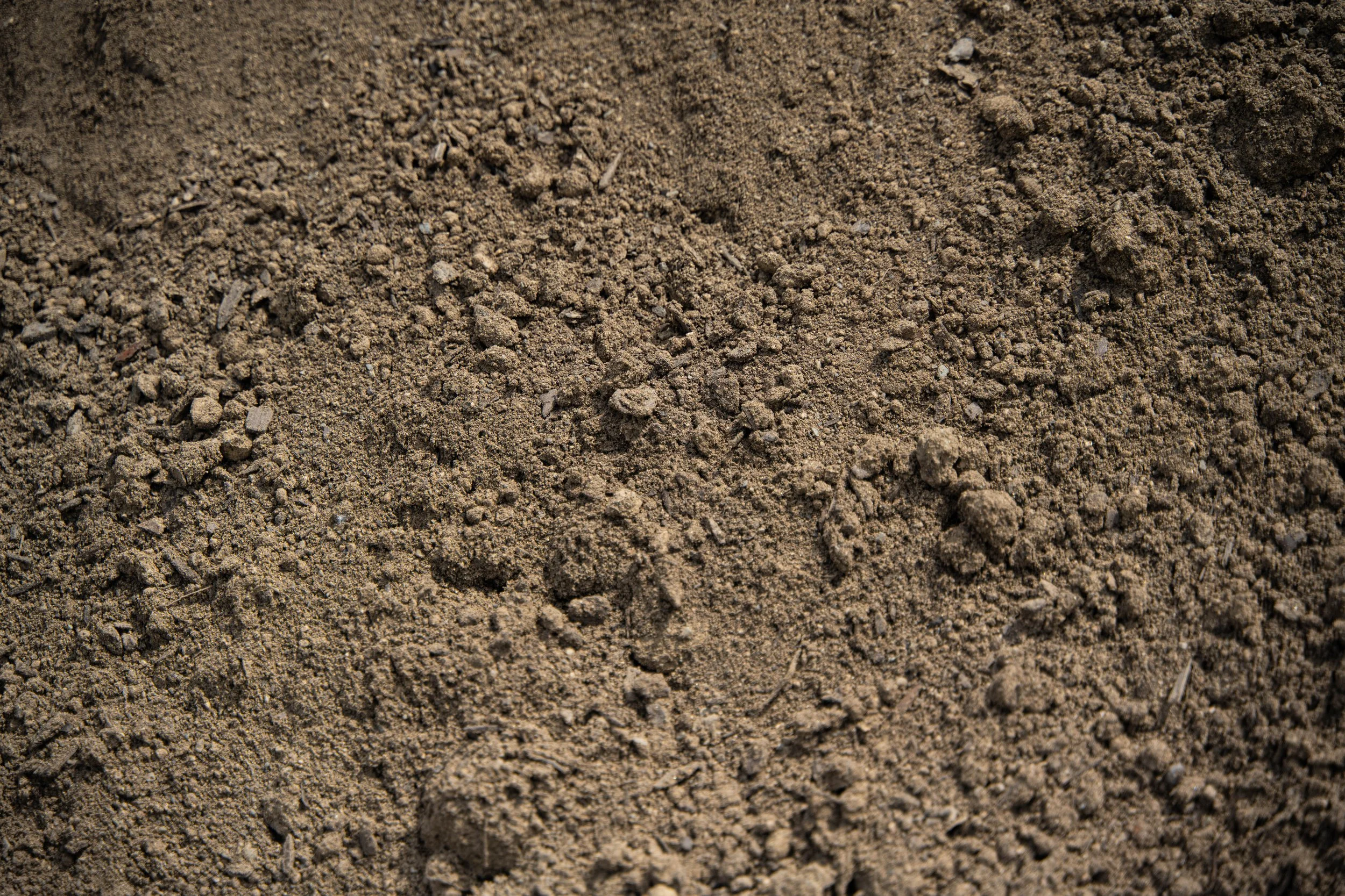 Close-up of loose brown dirt or soil with small rocks and particles.