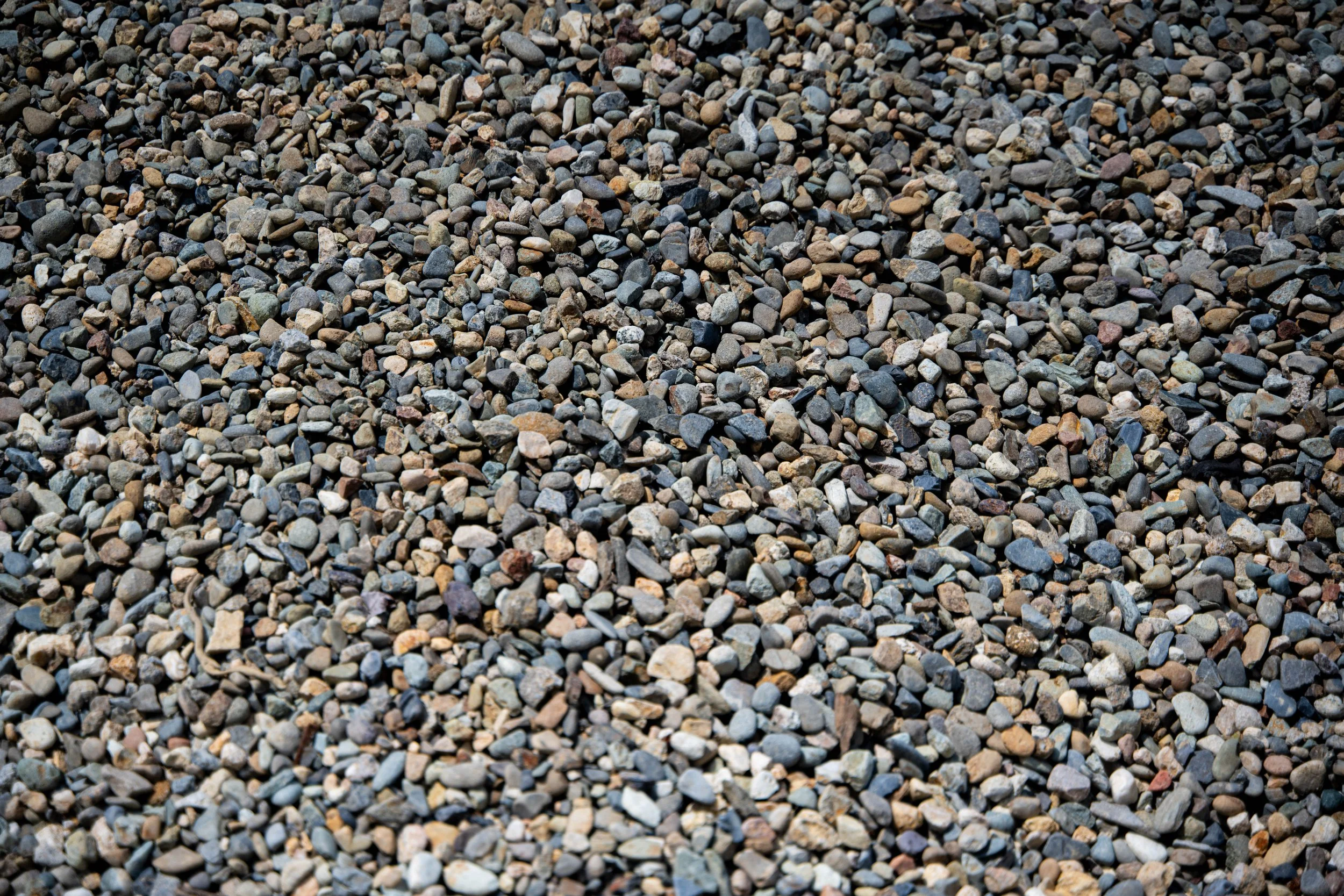 Close-up of small, multicolored pebbles and rocks on the ground.