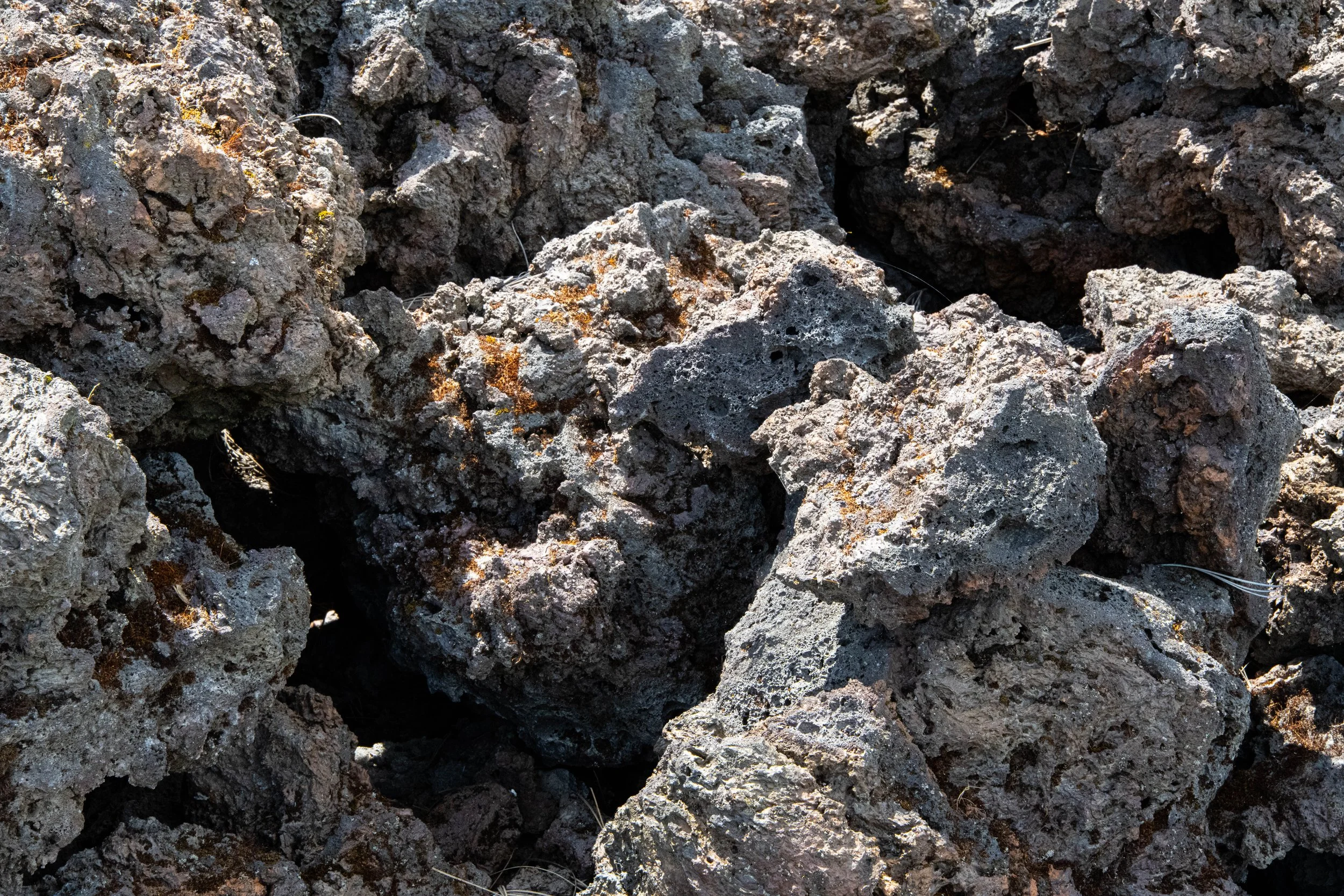 Close-up of rough, dark gray volcanic rocks with small patches of tan and white mineral deposits and some dried plant fibers.