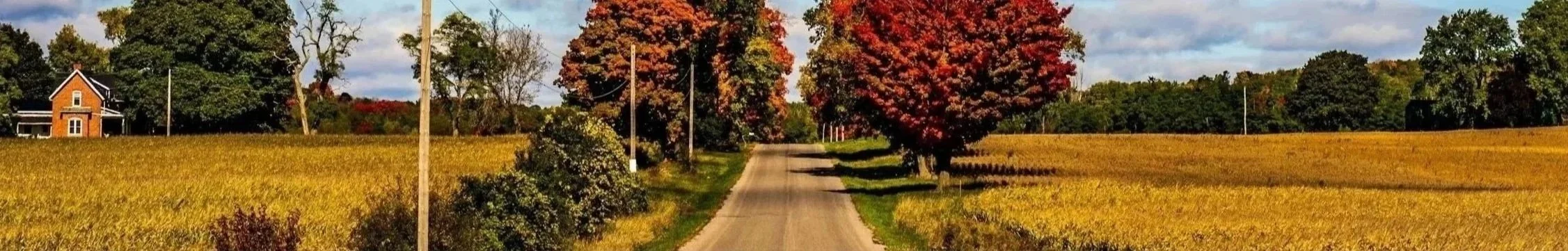 A rural road lined with trees in autumn, with a house on the left and fields of crops on both sides, under a partly cloudy sky.
