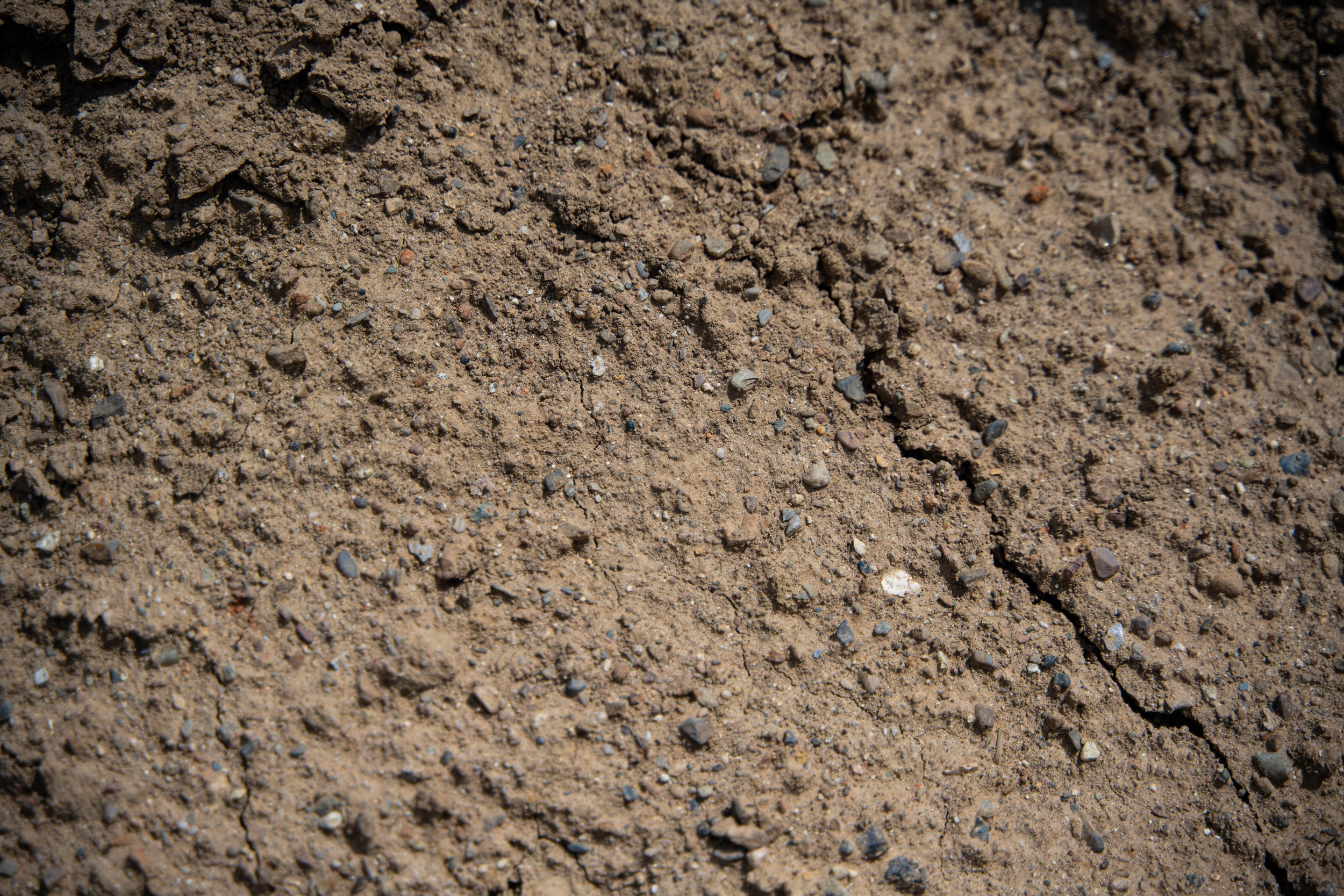 Close-up of dirt and small rocks on the ground.