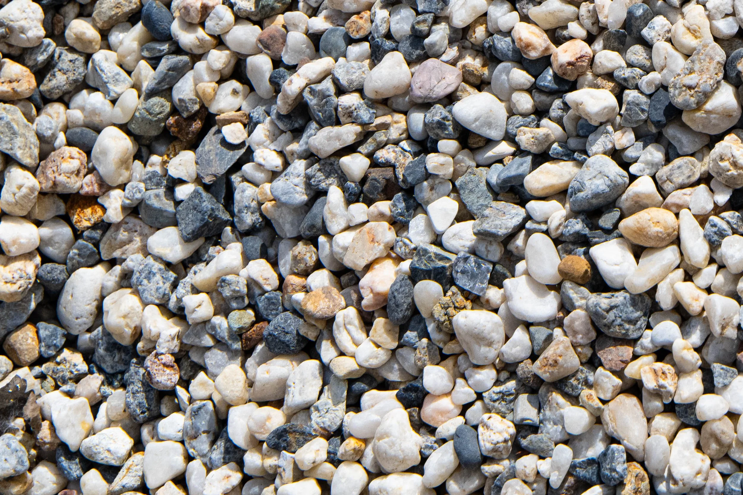 Close-up of small, multicolored pebbles on the ground, including white, gray, black, and tan stones.