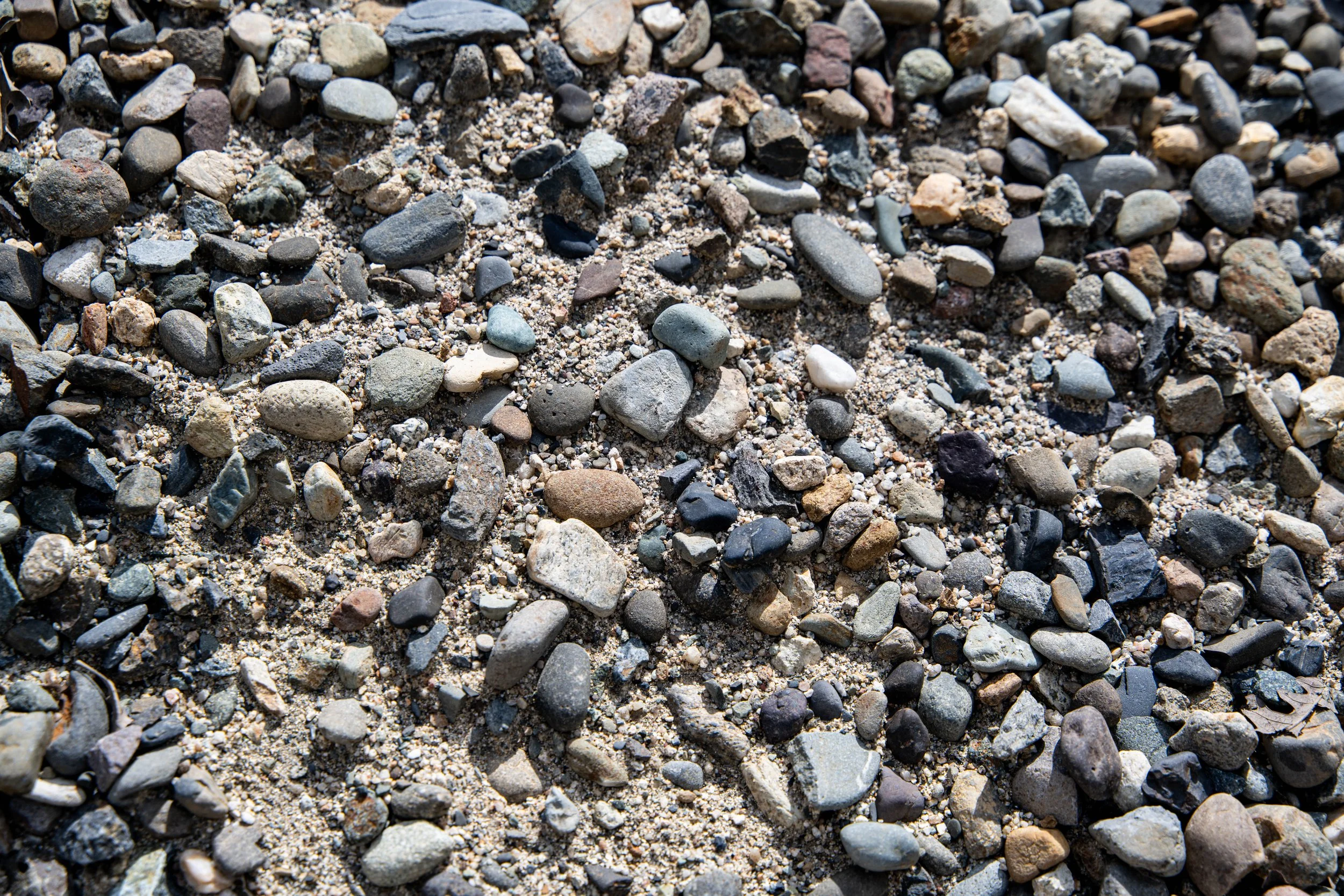 A close-up of a variety of small rocks and pebbles on sandy ground.