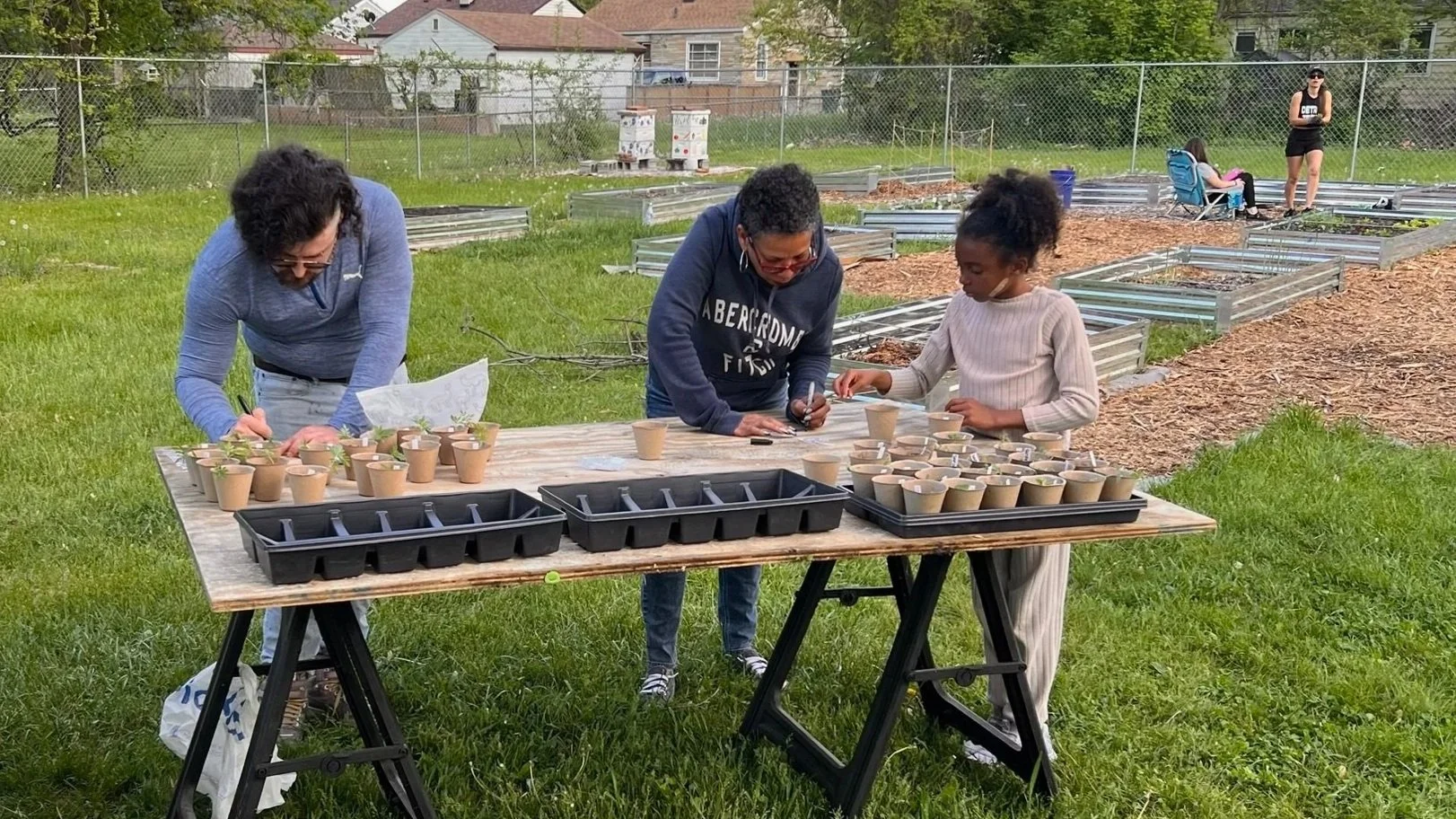 Annual Plant Sale