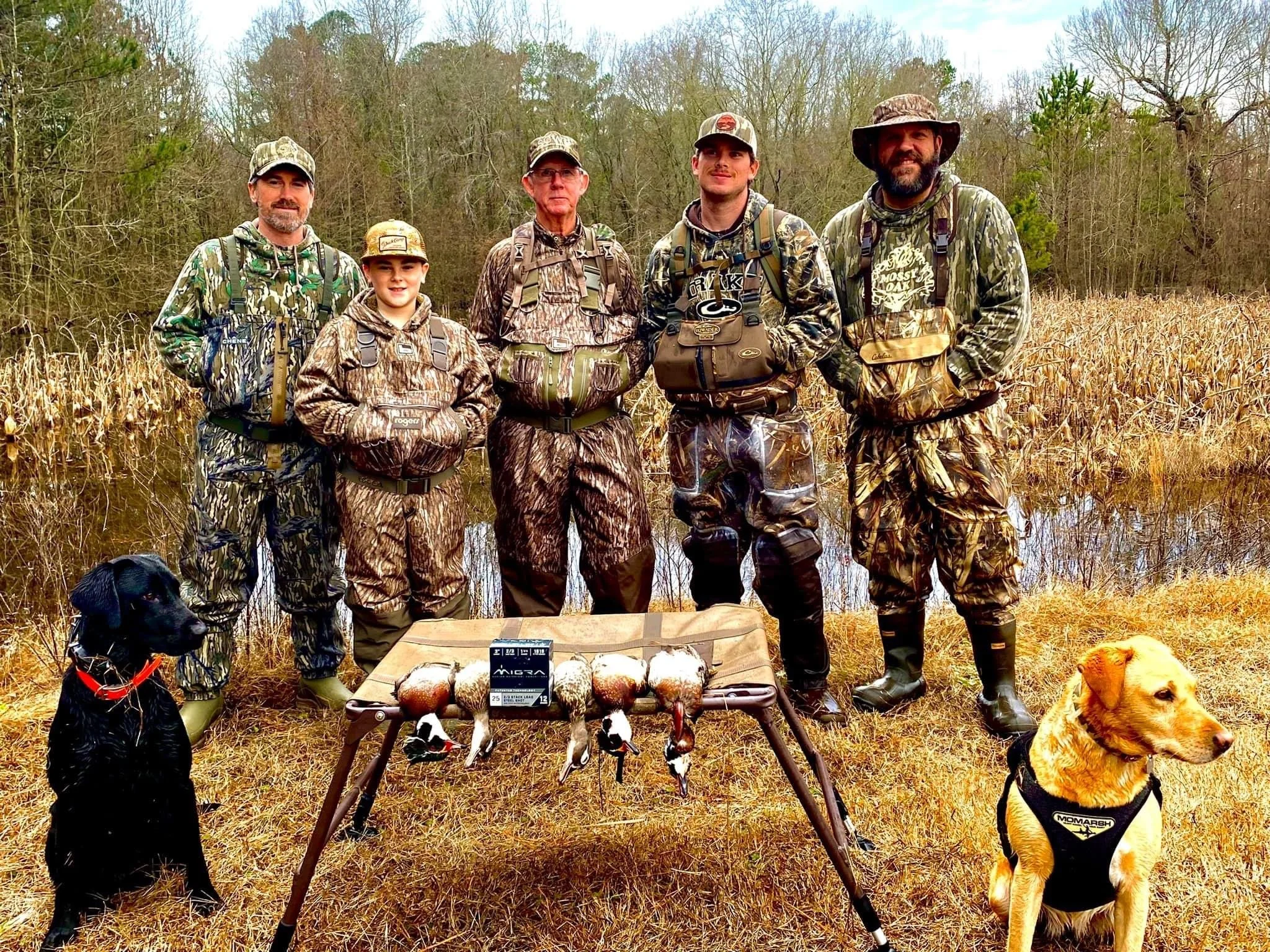 A group of six people in camouflage clothing and two dogs standing outdoors in a marshy area with dry grass and trees, with a display of recovered wildlife in front of them.