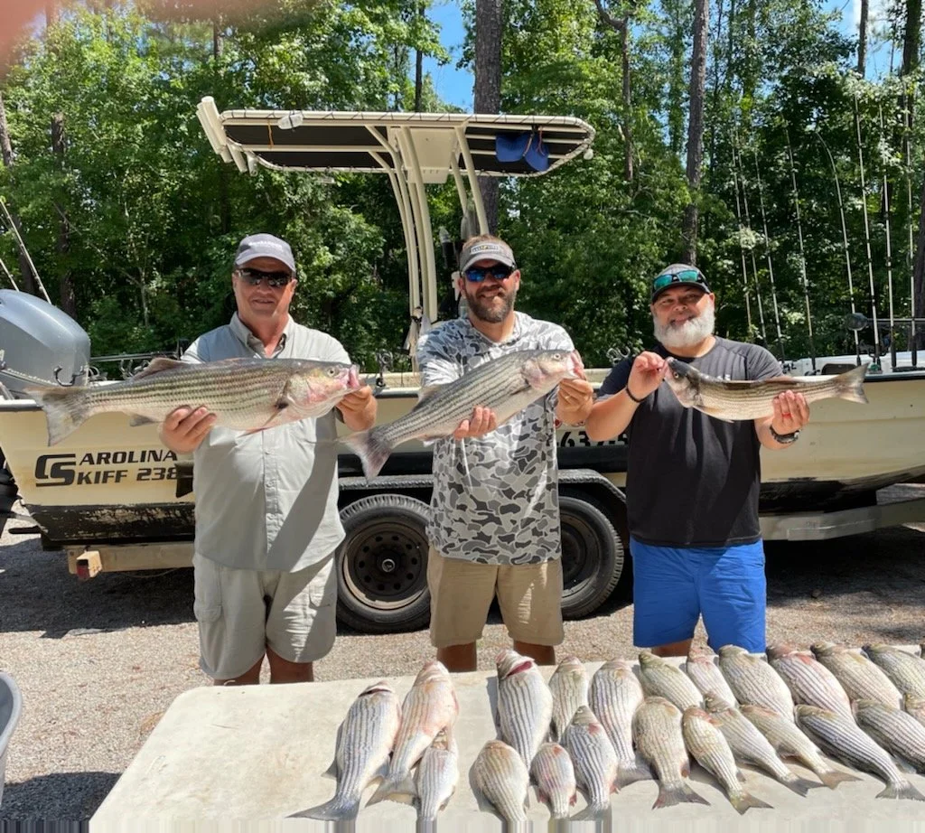 Three men standing outdoors in front of a boat, each holding a fish they caught. The table in front of them displays multiple fish. The background has green trees and a clear blue sky.