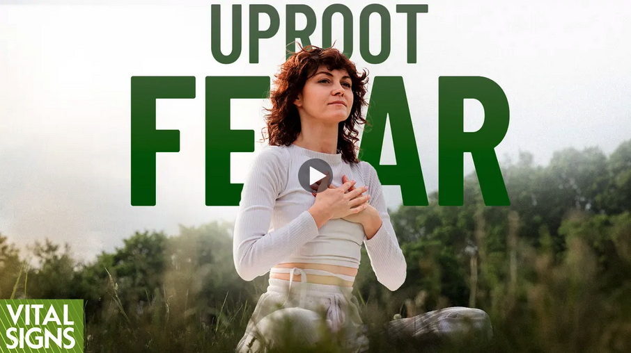 A woman sitting outdoors in a grassy area with trees in the background, practicing mindfulness or meditation. Overlaid text reads 'Uproot Fear', with a logo saying 'Vital Signs' in the bottom left corner.