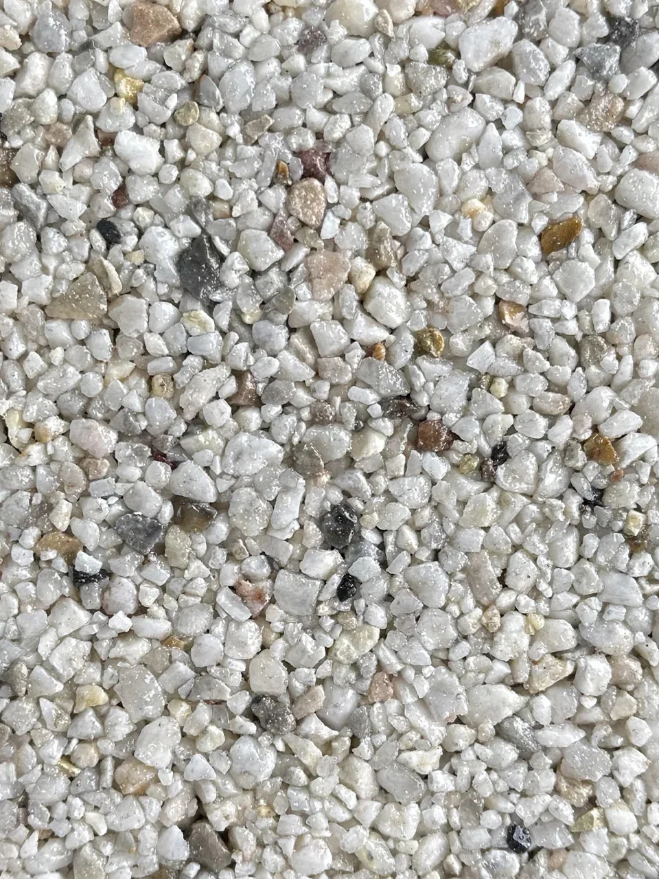 Alaskan Tundra