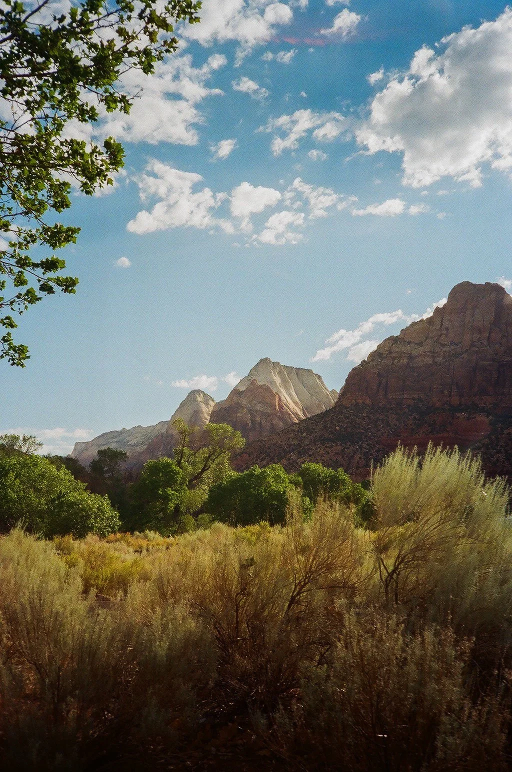 zion 35mm.JPG