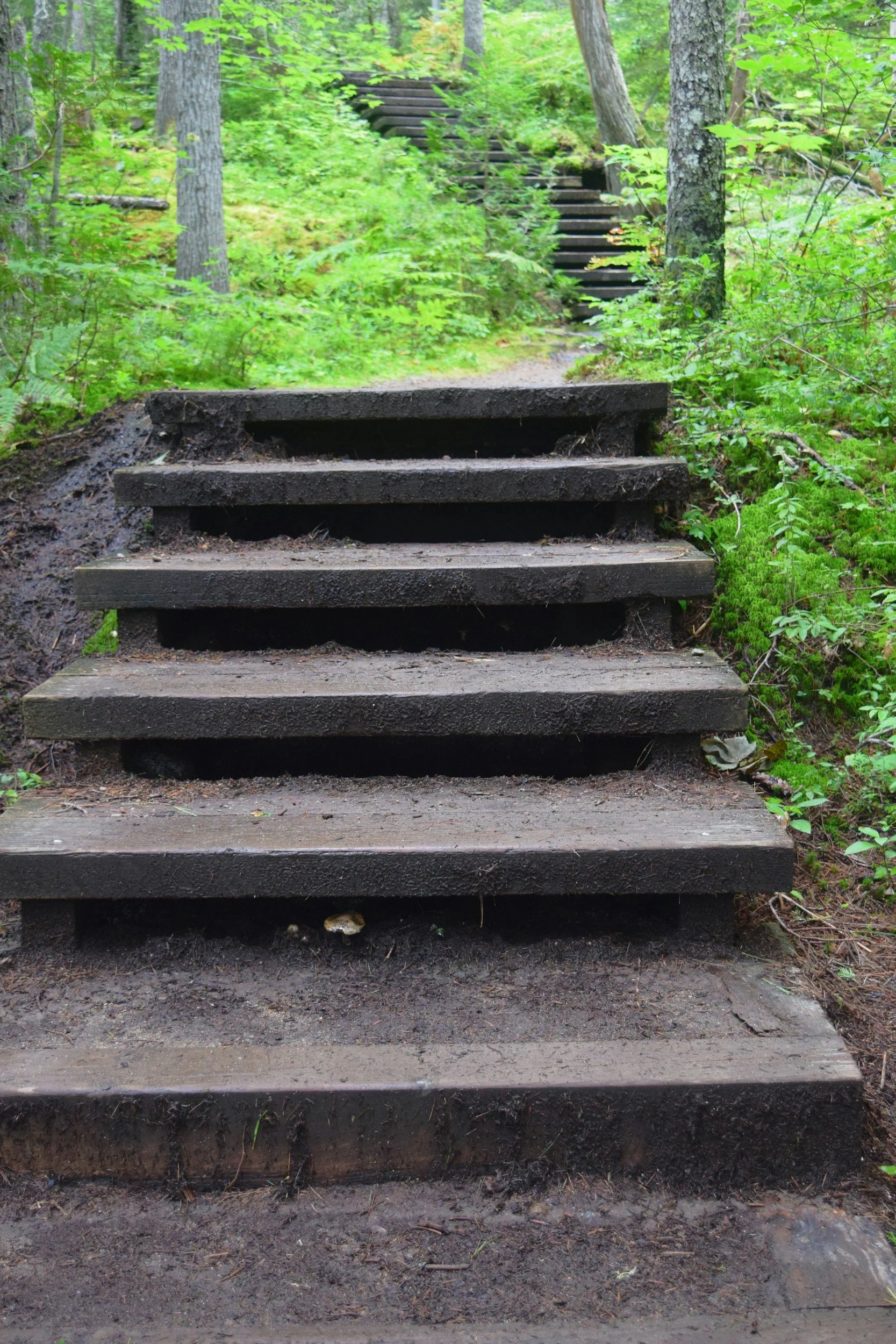 The 12 Steps Explained