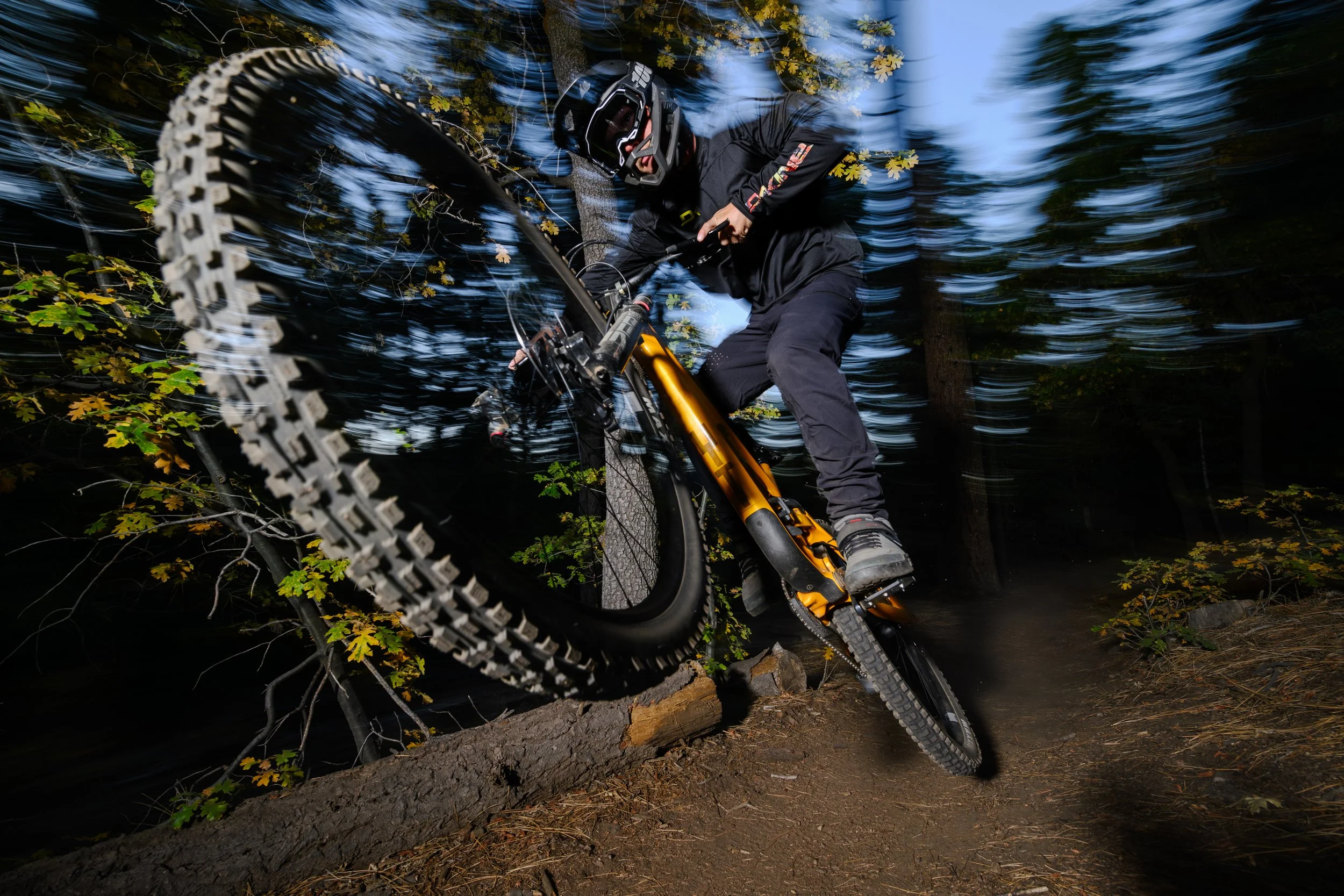 2023-10-16_Johhny_FernTrail_-2.jpg