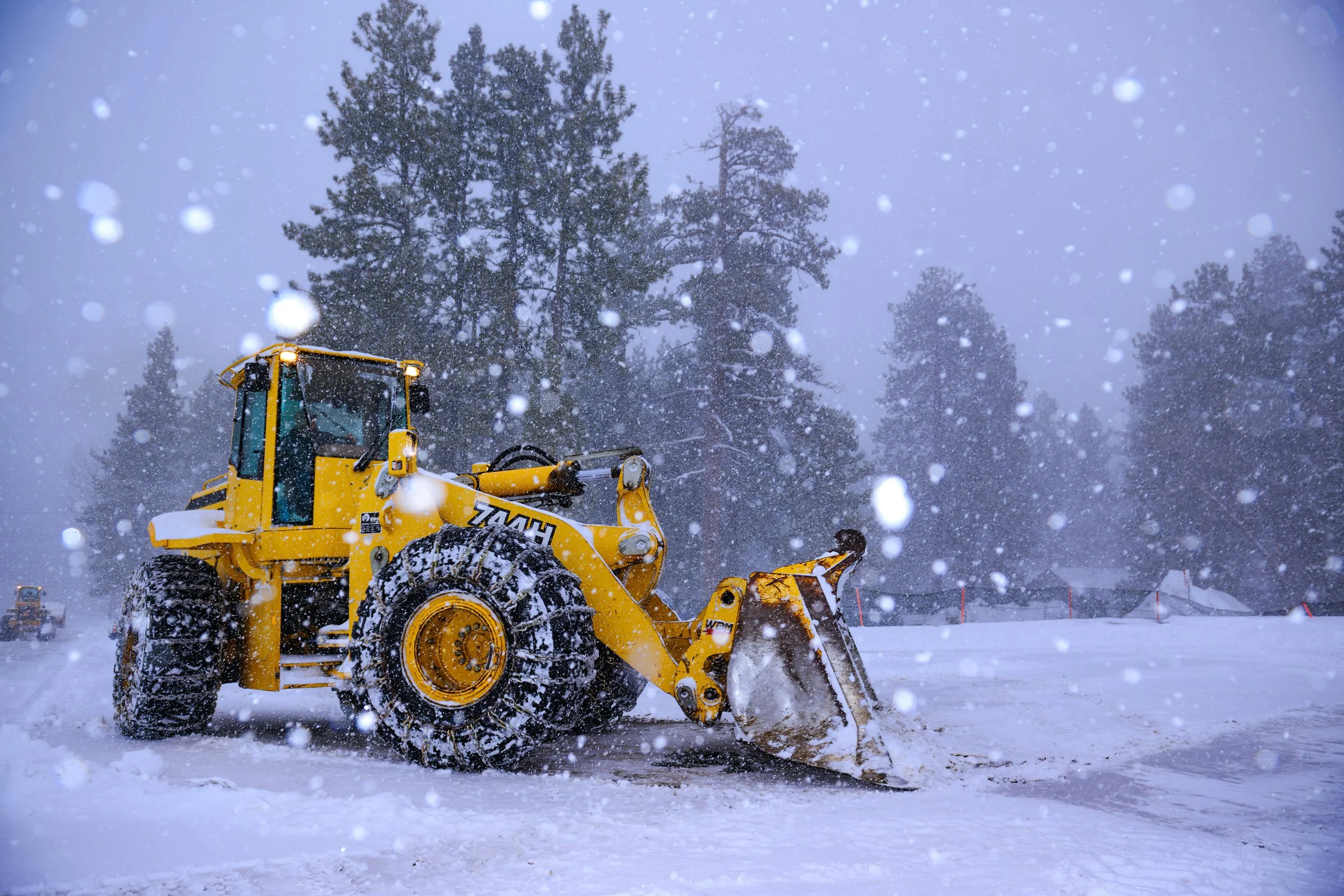 2025-3-13_BBMR_SS_MY_Snowy_JPEG_5.jpg