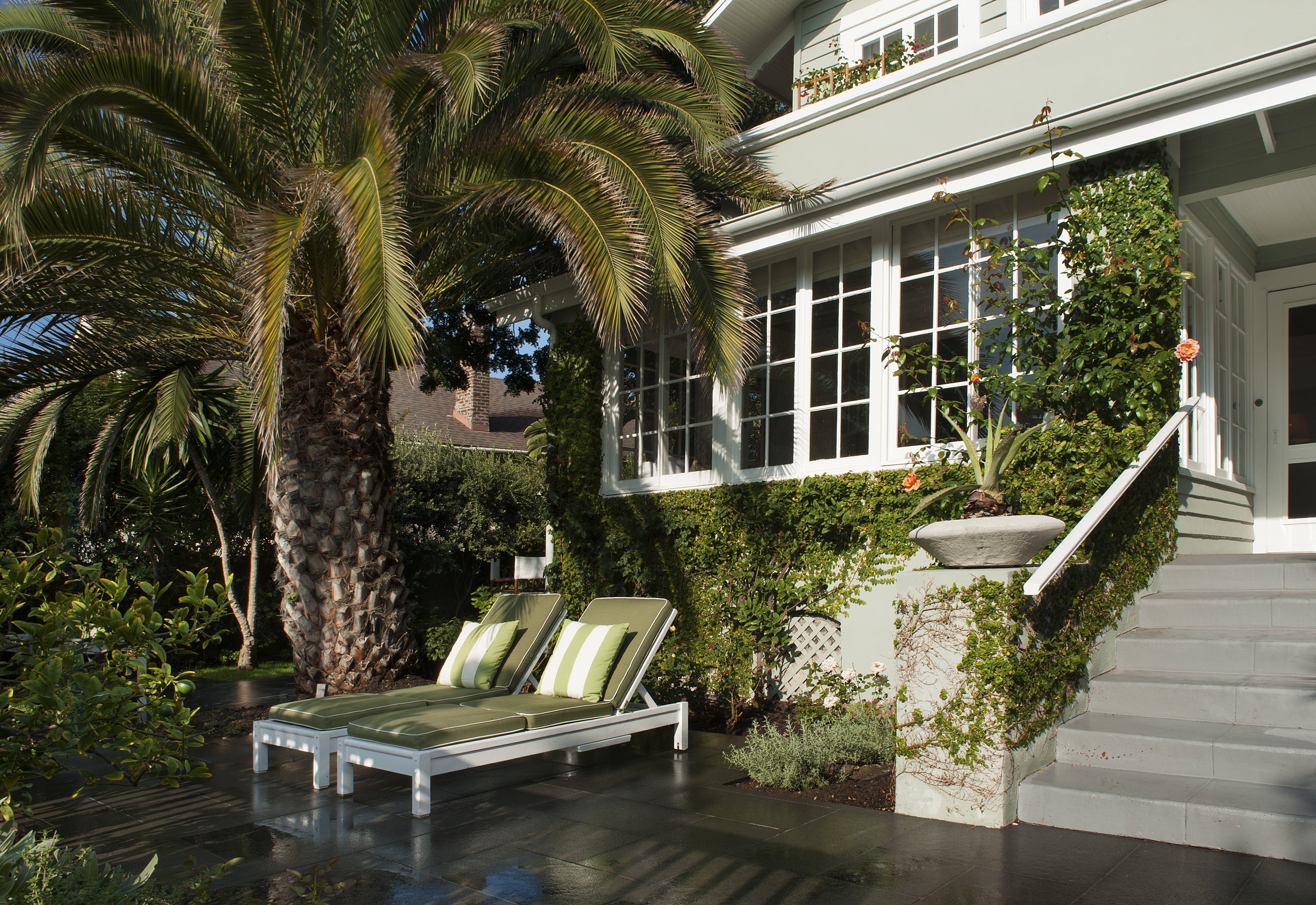 A backyard with a tall palm tree, two lounge chairs with green and white striped cushions, a white wall with large windows, a garden with various plants, and a staircase leading to a porch with flower boxes.