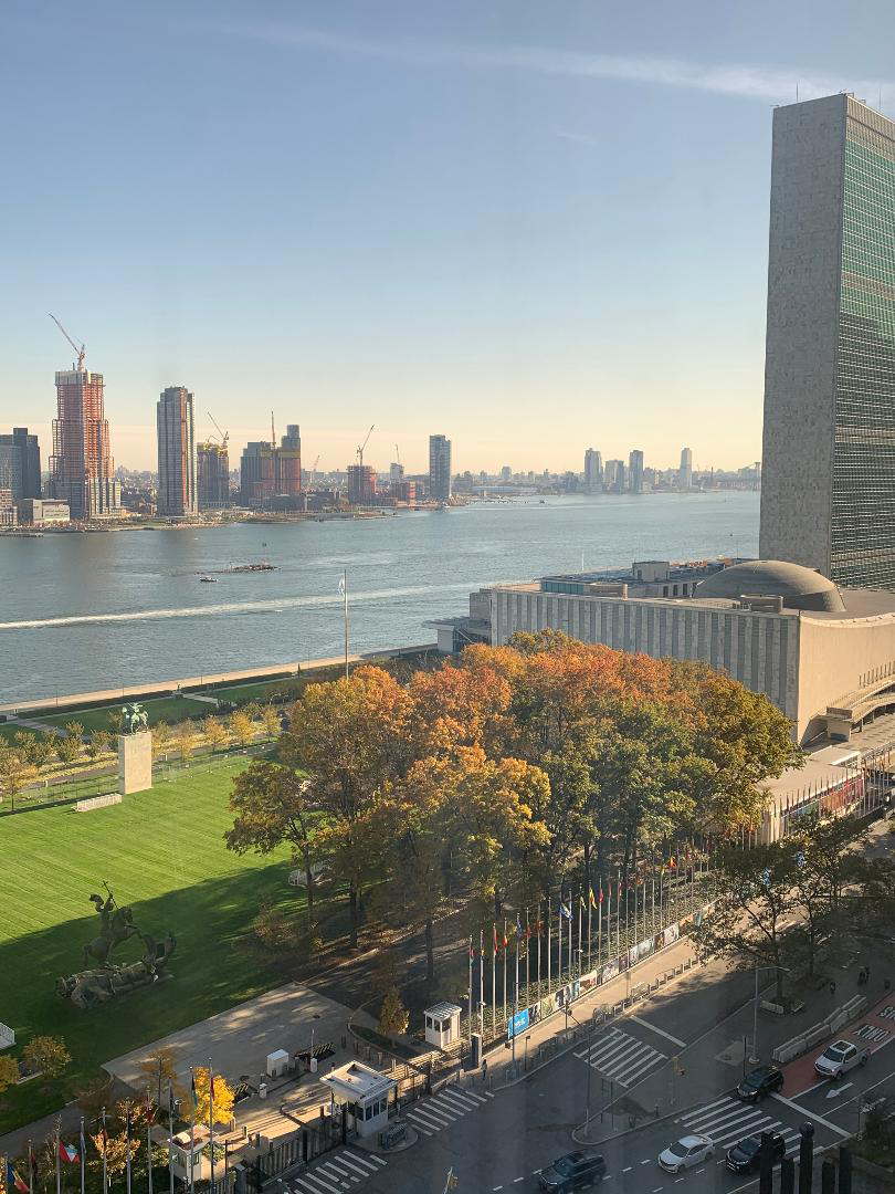 Cityscape with skyscrapers, a river, and a park with trees showing fall colors.