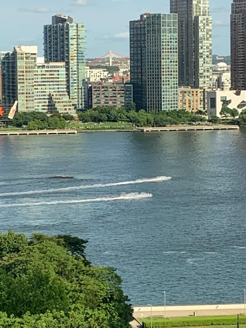 City skyline with high-rise buildings along a river, with two speedboats creating wakes on the water.