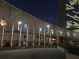Nighttime view of a fence with illuminated animal and object designs, including a fox, fish, rabbit, and birds, with a tall building in the background.