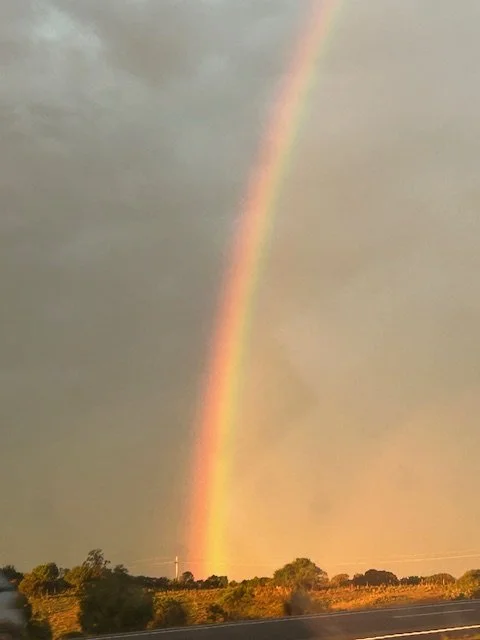 Rainbow arching over a landscape with fields, trees, and a road, under a cloudy sky.