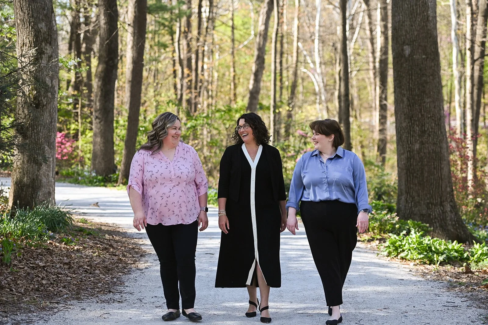 Picture of the Beth Driver Law Team