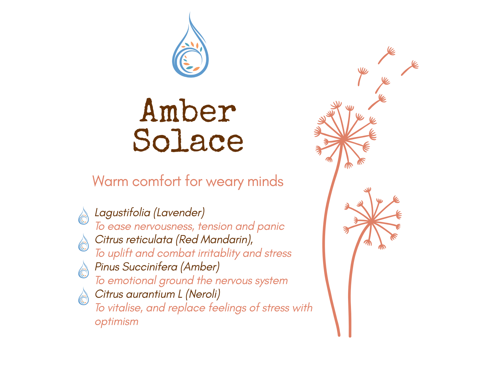 Amber Solace