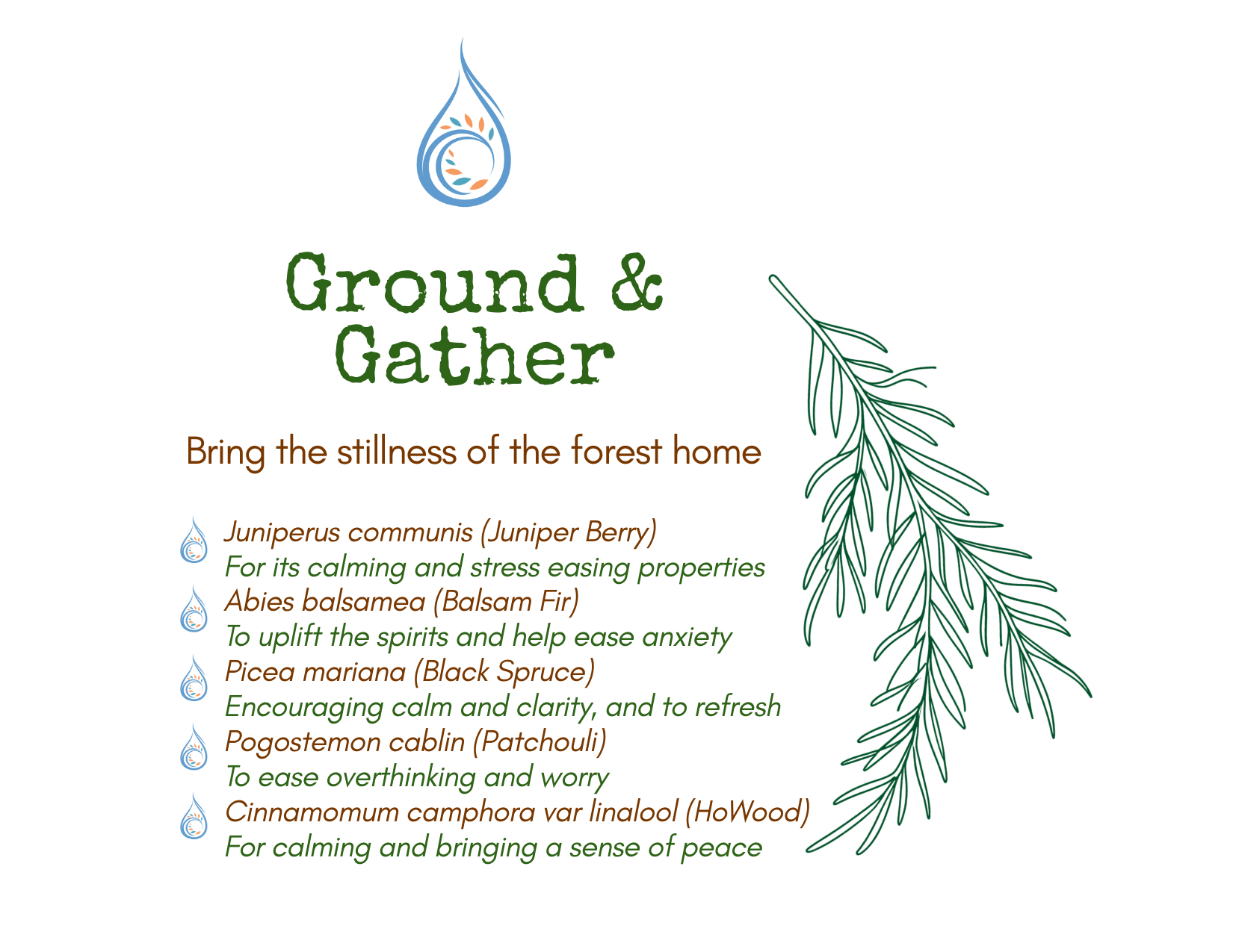 Ground & Gather