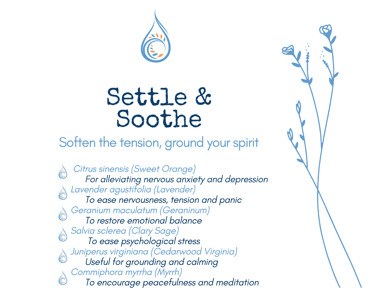 Settle & Soothe