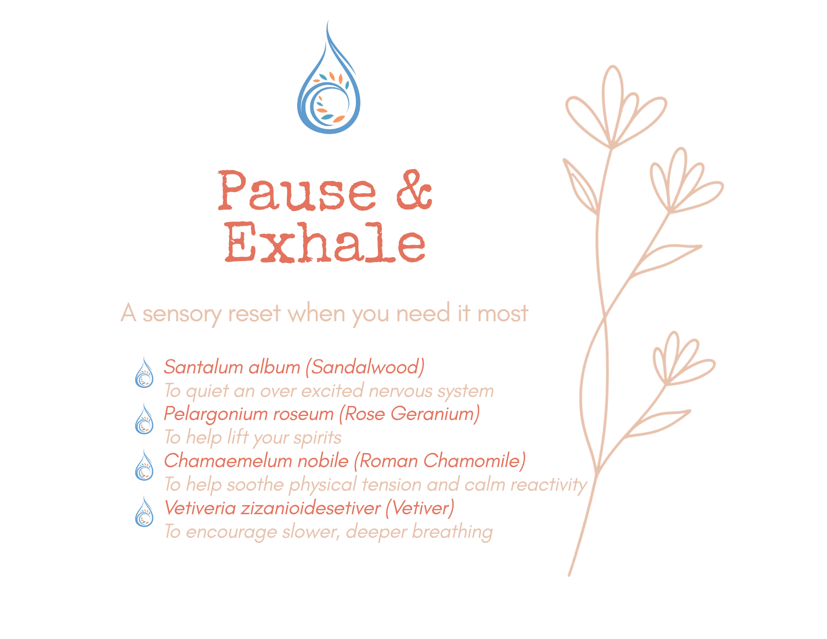 Pause and Exhale