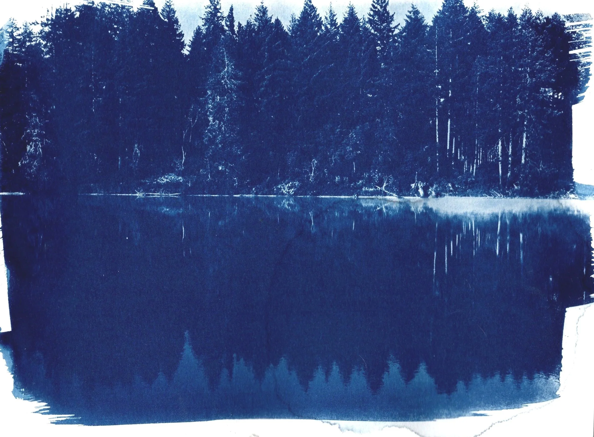 Spencer Lake dream