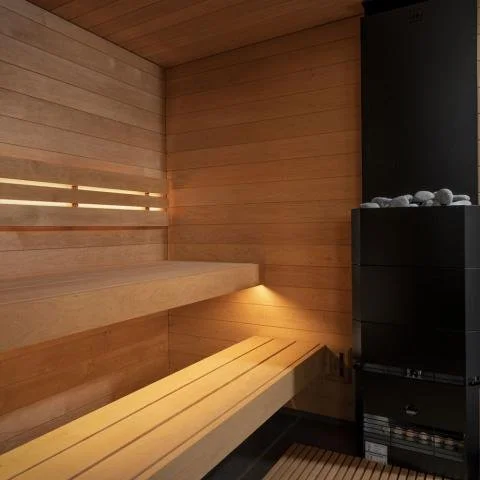 SaunaLife-Model-G6-Interior.jpg