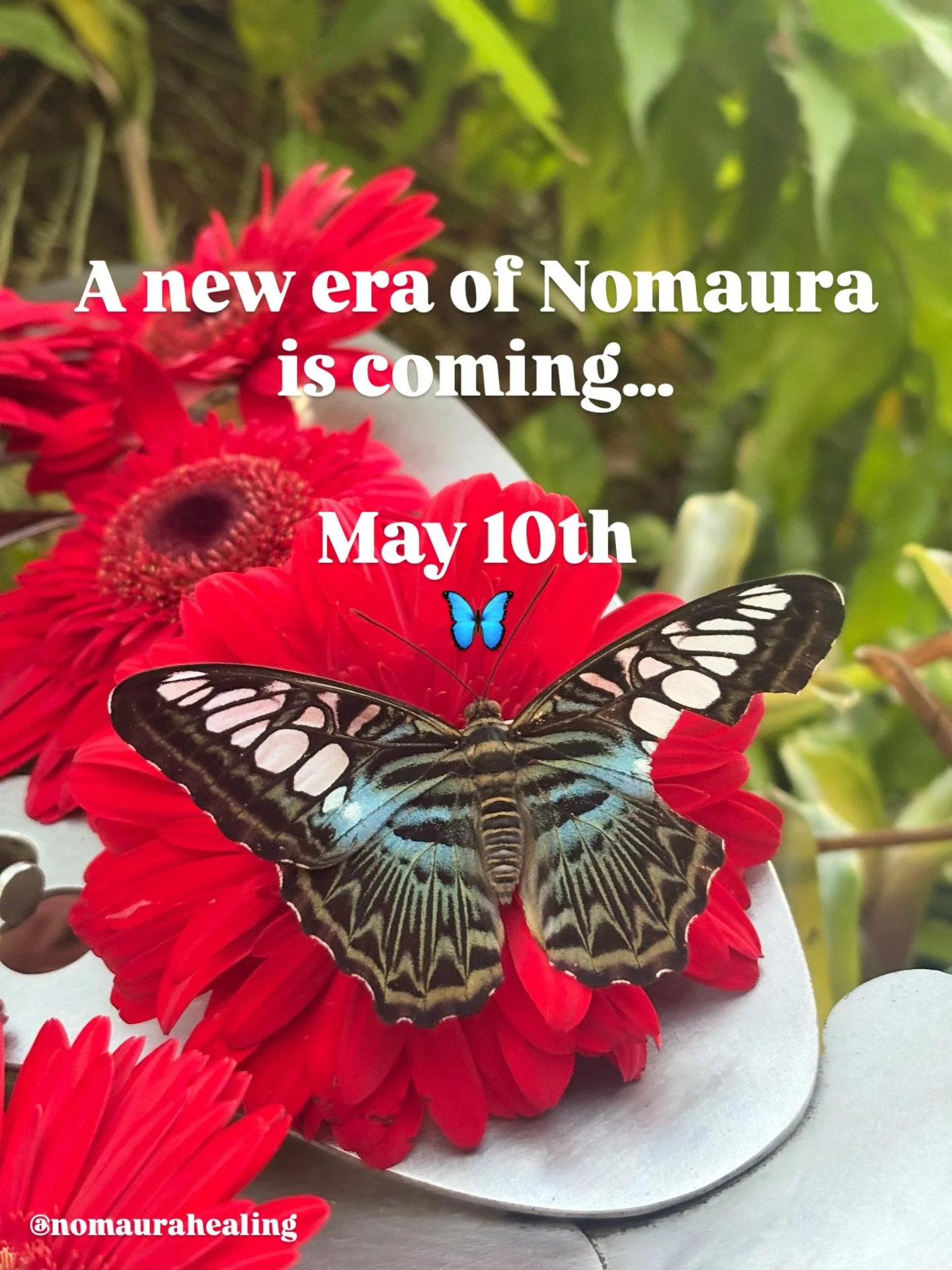 Something new is coming to Nomaura&hellip; 🤍

And not just one thing - a whole new level.

Over the past few months, I&rsquo;ve been quietly evolving the space, the treatments, and the experience I offer and I&rsquo;m finally ready to share it with 