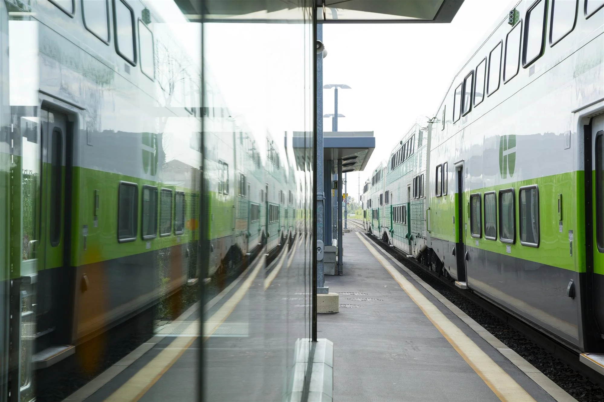 mimico go.jpg
