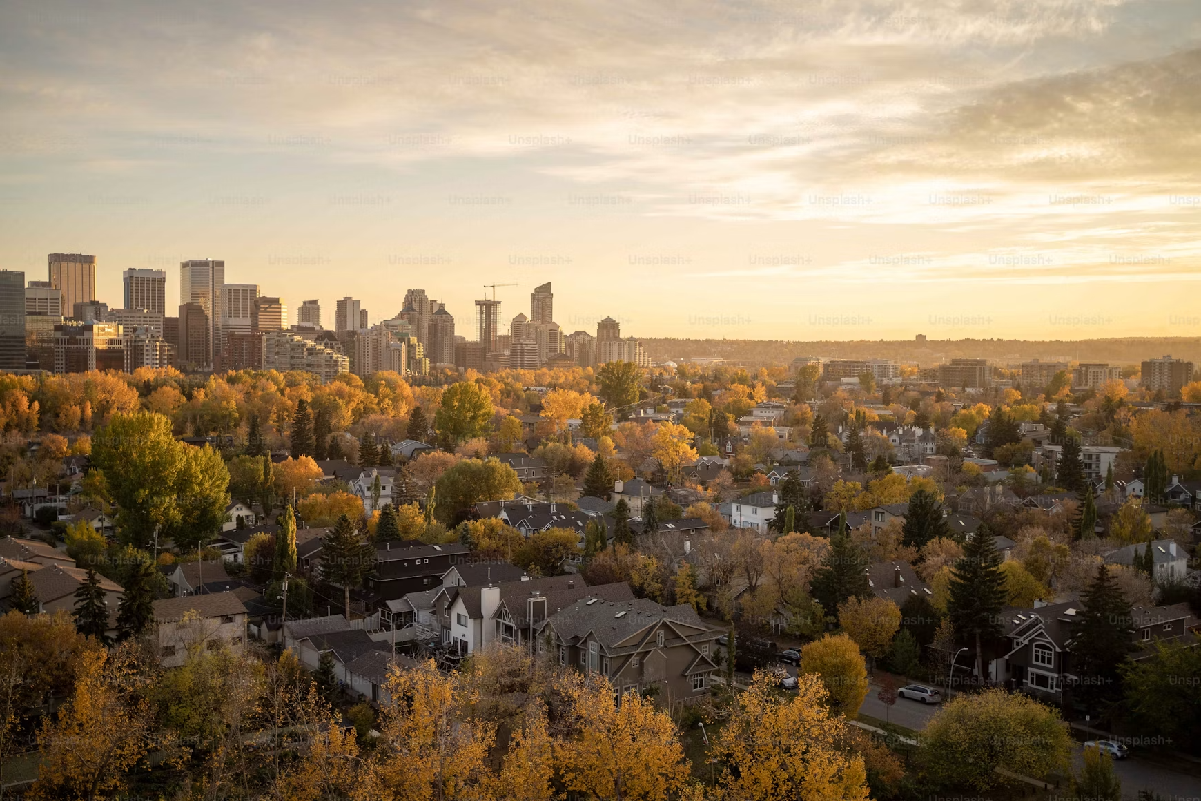 The Best Neighbourhoods in Etobicoke to Consider