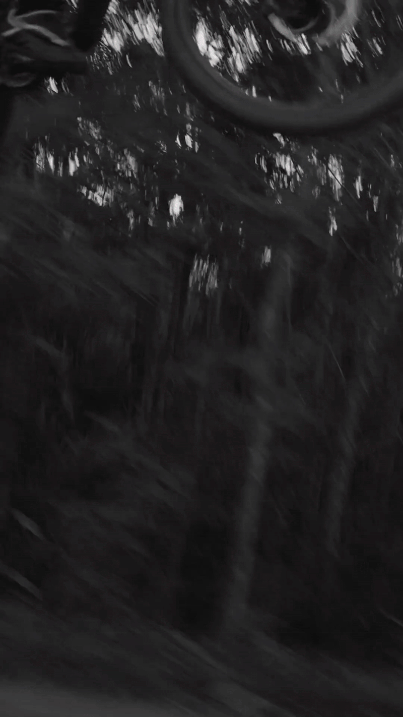 Dark, blurry photo with indistinct trees and possibly a bicycle tire at the top.