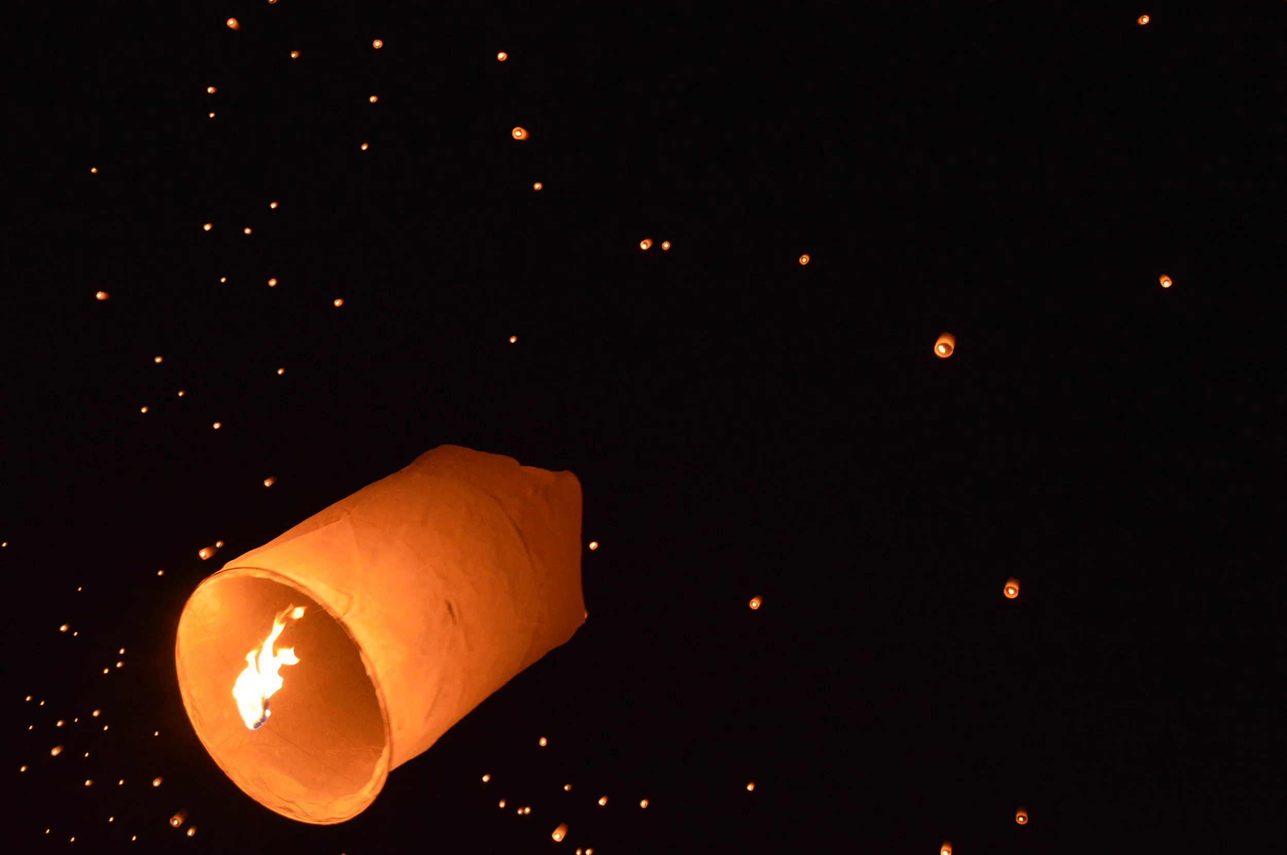 Rise Lantern Festival, 2015